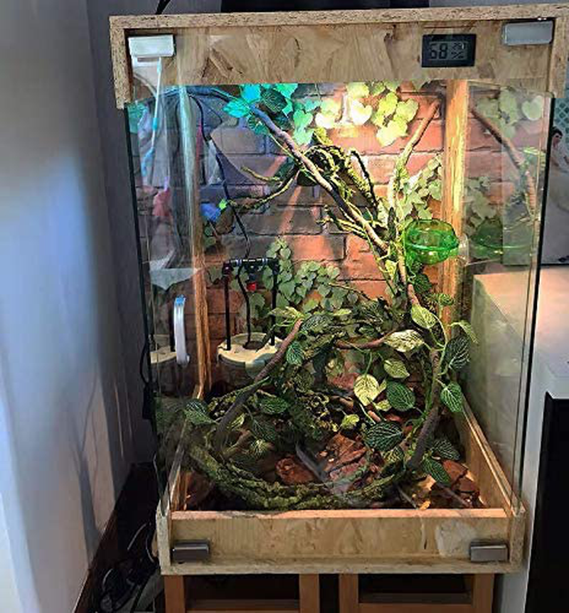 Kathson Reptile Jungle Vines Terrarium Decor Climbing Branches Habitat Accessories Hide Shelter for Crested Geckos Snakes Bearded Dragons Chameleons Lizards Spiders Geckos Scorpions Animals & Pet Supplies > Pet Supplies > Reptile & Amphibian Supplies > Reptile & Amphibian Habitats kathson