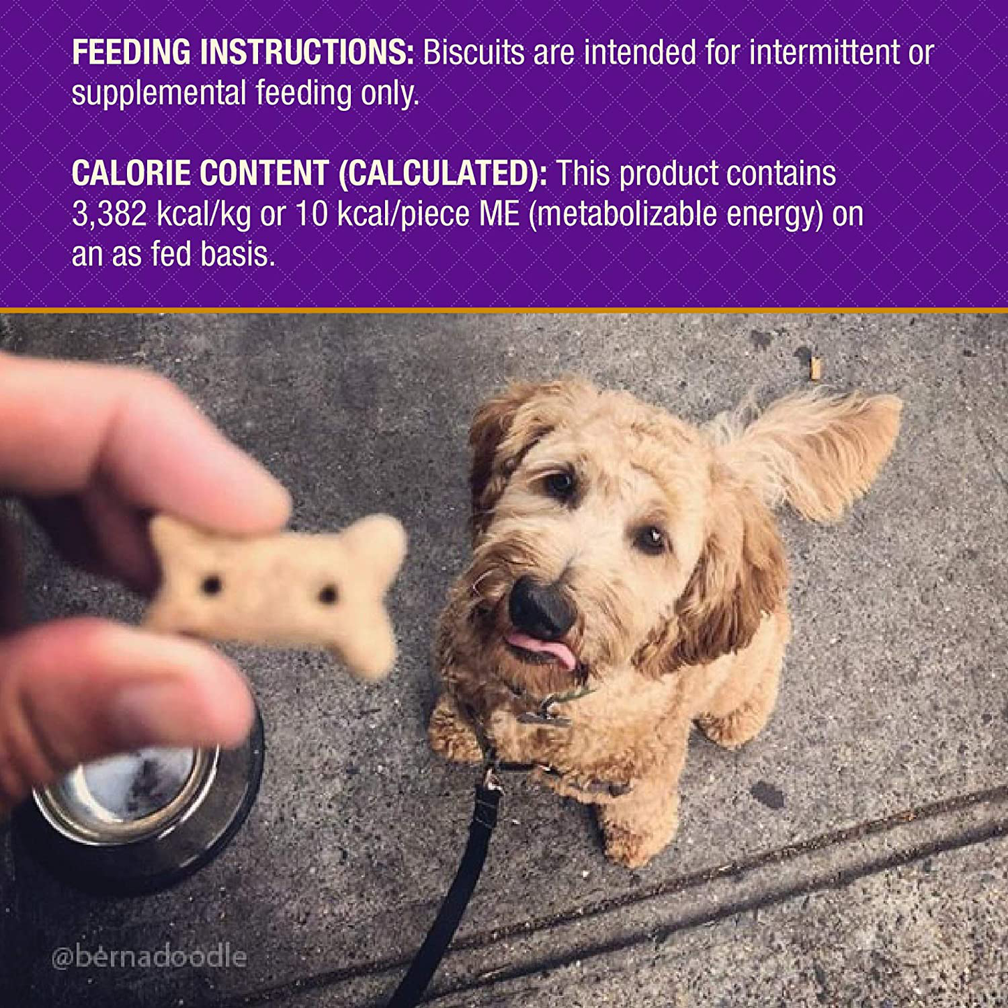 Old Mother Hubbard Classic Natural Dog Treats, Chicken and Apples, Oven Baked, Crunchy Dog Treats, Mini Training Treats, Small Dogs, No Artificial Preservatives, Wheat Free Animals & Pet Supplies > Pet Supplies > Dog Supplies > Dog Treats Old Mother Hubbard