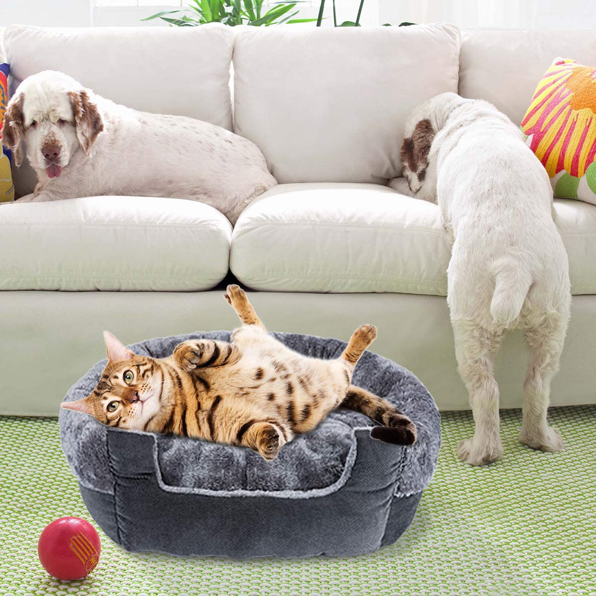GASUR Dog Beds for Small Dogs & Cat Beds for Indoor Cats, Detachable Machine Washable Soft & Plush Calming Dog Bed, round Pet Beds for Indoor Cats, Warming & Cooling Kitten Puppy Bed Animals & Pet Supplies > Pet Supplies > Cat Supplies > Cat Beds GASUR