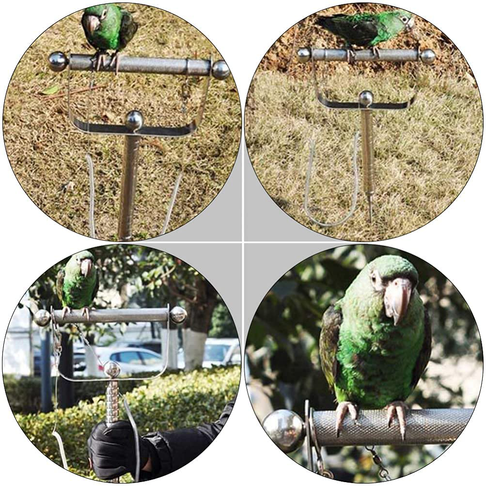 M I a Bird Parrot Play Stand Playground Cockatiel Stainless Steel Perch Rack Gym Exercise Training Toys Cage Prop 30X20Cm Animals & Pet Supplies > Pet Supplies > Bird Supplies > Bird Gyms & Playstands M I A