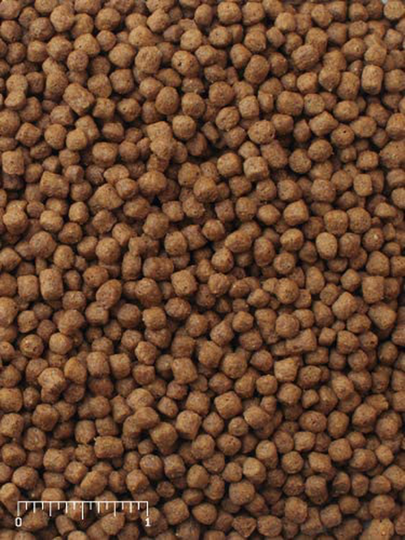 Mazuri Aquatic Turtle Diet Animals & Pet Supplies > Pet Supplies > Reptile & Amphibian Supplies > Reptile & Amphibian Food Mazuri