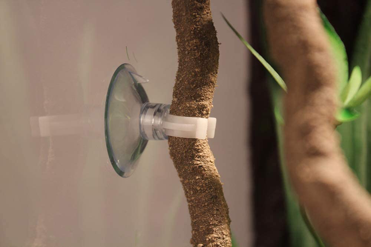 PINVNBY Bearded Dragon Tank Accessories Reptile Plants Lizard Hammock Jungle Climber Vines Flexible Leaves Habitat Reptile Decor for Climbing, Chameleon, Lizards, Gecko, Snakes Animals & Pet Supplies > Pet Supplies > Reptile & Amphibian Supplies > Reptile & Amphibian Substrates PINVNBY