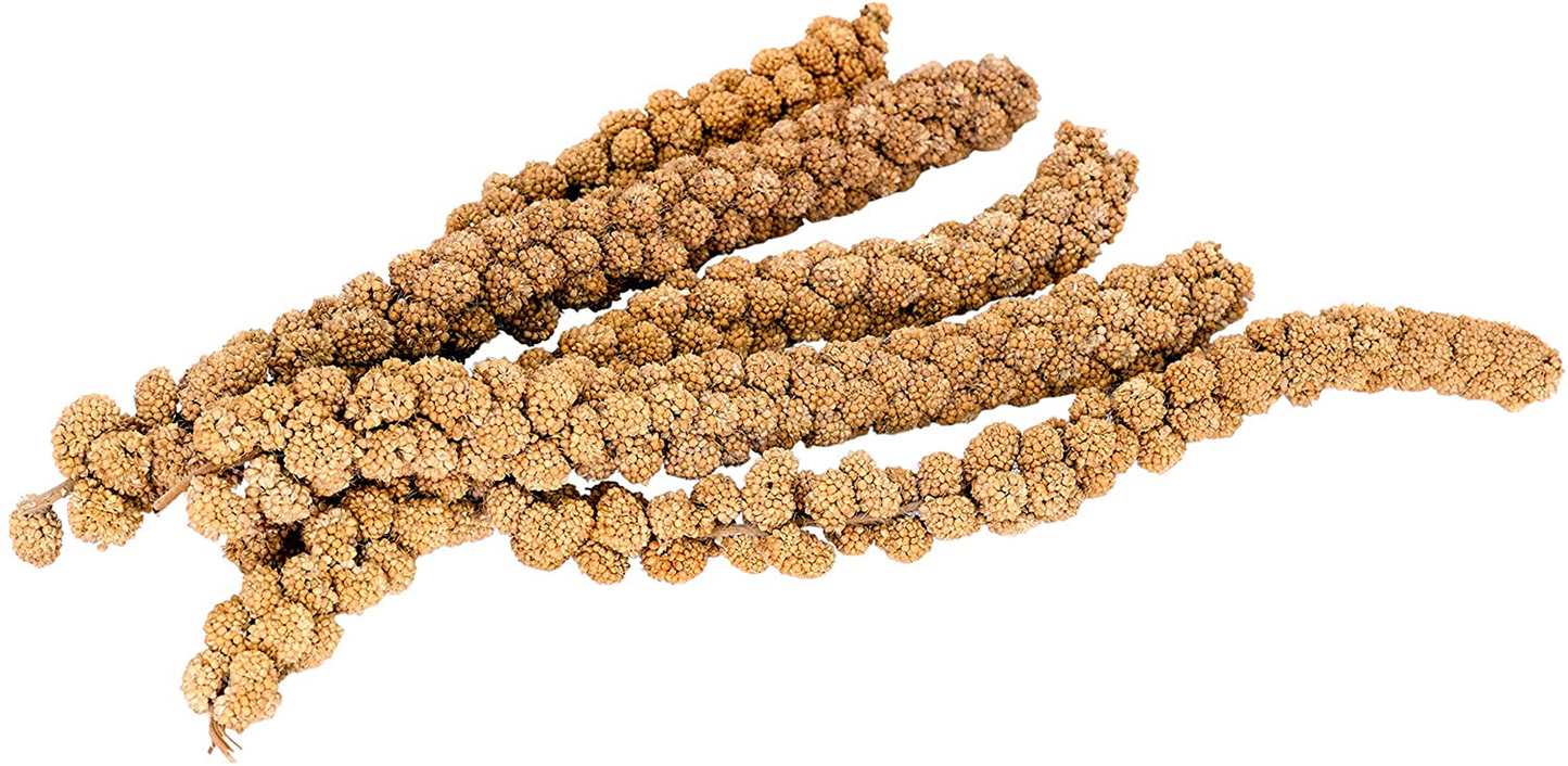 Living World Spray Millet, 7-Ounce Animals & Pet Supplies > Pet Supplies > Bird Supplies > Bird Treats Living World