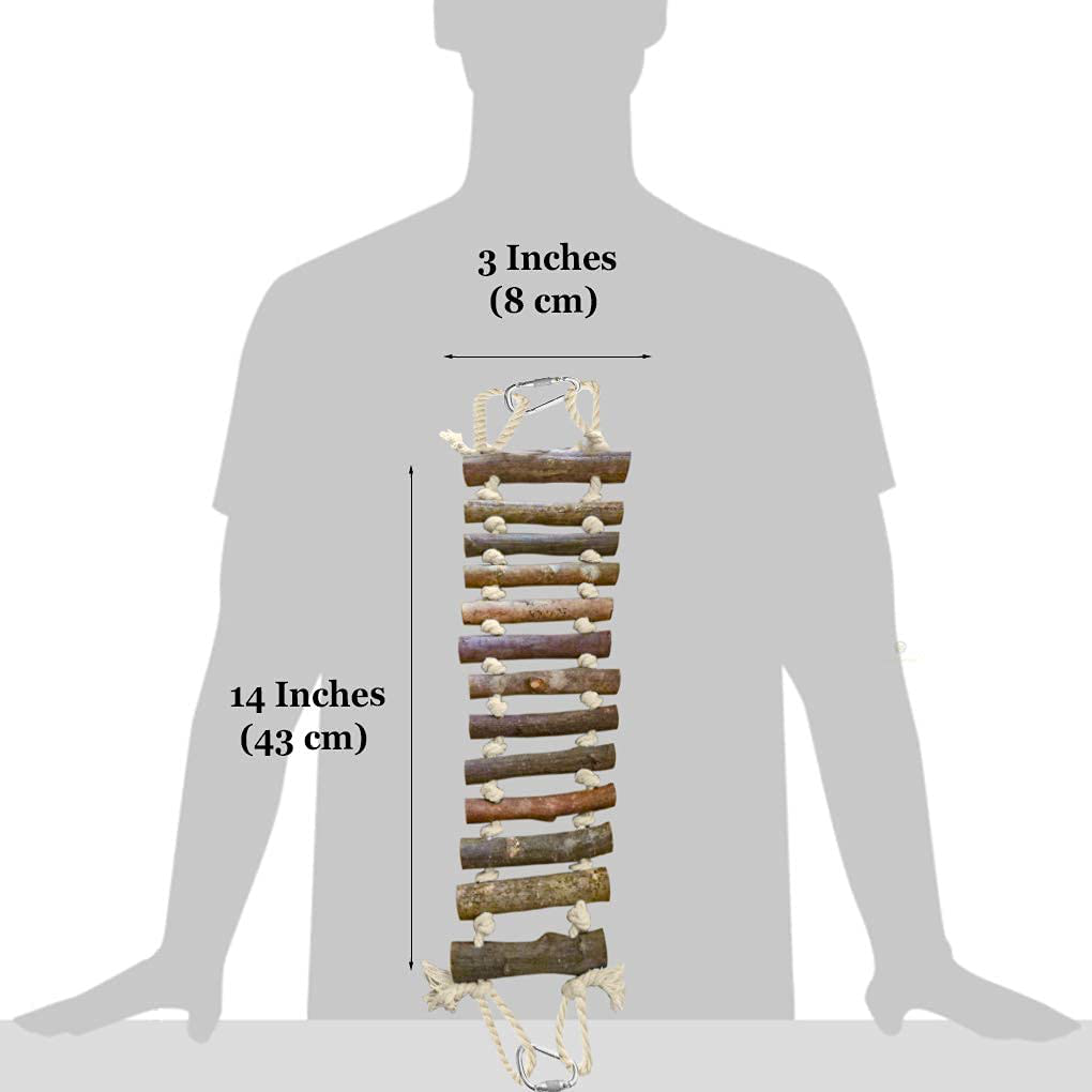 Sungrow Bird Wooden Ladder Bridge, 14-Inches Long, Raw Wood and Edible Dye Ladder for Small to Medium Birds, 1 Pc per Pack Animals & Pet Supplies > Pet Supplies > Bird Supplies > Bird Ladders & Perches SunGrow