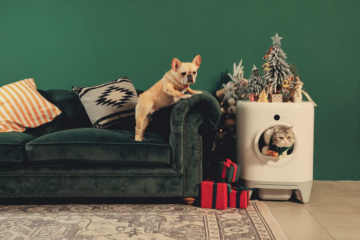 PETKIT Pura X Self-Cleaning Cat Litter Box, No Scooping Automatic Cat Litter Box Fr Multiple Cats, Xsecure/Odor Removal/App Control Automatic Cat Littler Box with Mat Animals & Pet Supplies > Pet Supplies > Cat Supplies > Cat Furniture PETKIT