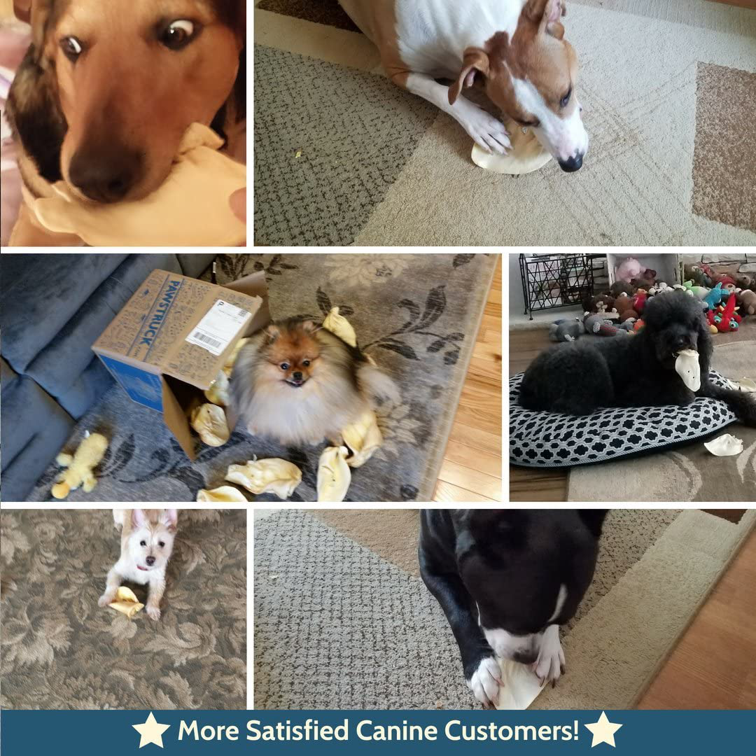 Pawstruck Jumbo Cow Ears for Dogs | Made in USA & Natural | Healthy Bulk Dental Dog Treats | Single Ingredient Chew | Fresh,Tasty Beef | Low Calorie, Digestible, & Safe Animals & Pet Supplies > Pet Supplies > Small Animal Supplies > Small Animal Treats Pawstruck