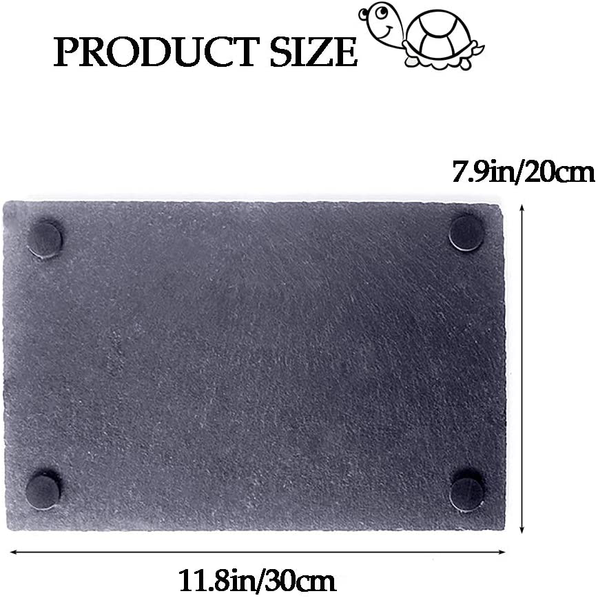 Reptile Basking Platform Tortoise Rock Plate Turtle Bathing Area Feeding Food Dish Resting Terrace Animals & Pet Supplies > Pet Supplies > Reptile & Amphibian Supplies > Reptile & Amphibian Habitat Accessories kathson