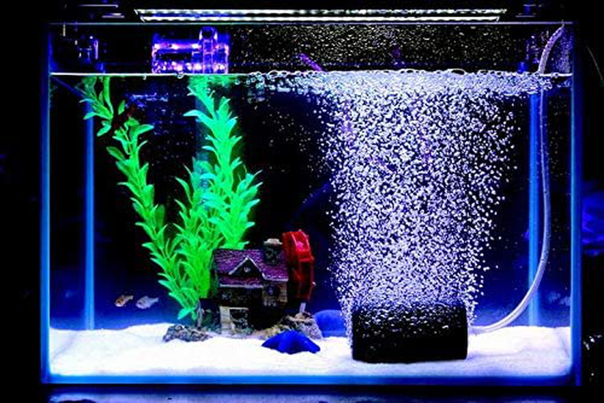 Aquatichi 2 Pack Large 4 Inch (100 Mm) Cylinder Air Stone Aerator Diffuser for Freshwater/Saltwater Aquariums, Fish Tank, Pond, Aquaponics, Hydroponics Animals & Pet Supplies > Pet Supplies > Fish Supplies > Aquarium Air Stones & Diffusers AquaticHI