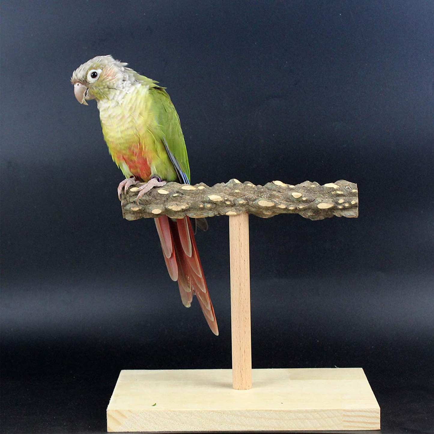 QBLEEV Bird Tabletop Training Stand Perch,Portable Parrot Tee Play Stands, Natural Wood Bird Cage Toys Gym Playground for Small Medium Parakeets Cocktails Conures Lovebirds Finch Animals & Pet Supplies > Pet Supplies > Bird Supplies > Bird Cage Accessories QBLEEV