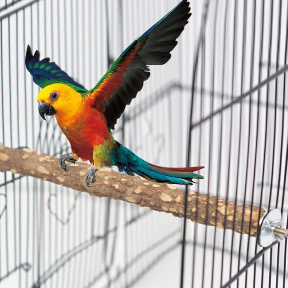 PINVNBY Bird Perch Nature Wood Prickly Parrot Stand Toy Branch Platform Paw Grinding Stick for Small Medium Birds Cockatiel Parakeet Conure Cage Accessory Pack of 3 Animals & Pet Supplies > Pet Supplies > Bird Supplies > Bird Cages & Stands PINVNBY