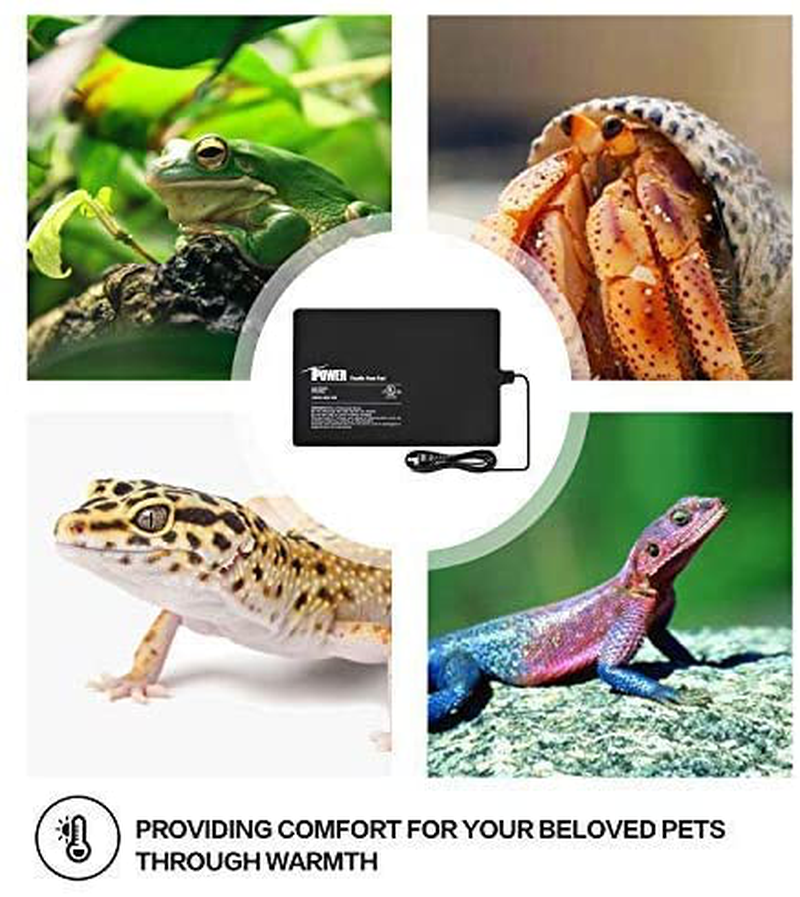 Ipower 8 by 12-Inch Reptile Heat Mat under Tank Heater Terrarium Heating Pad Ideal for Spider Snake Tarantula Hermit Crab Turtle, Black Animals & Pet Supplies > Pet Supplies > Reptile & Amphibian Supplies > Reptile & Amphibian Habitat Heating & Lighting iPower