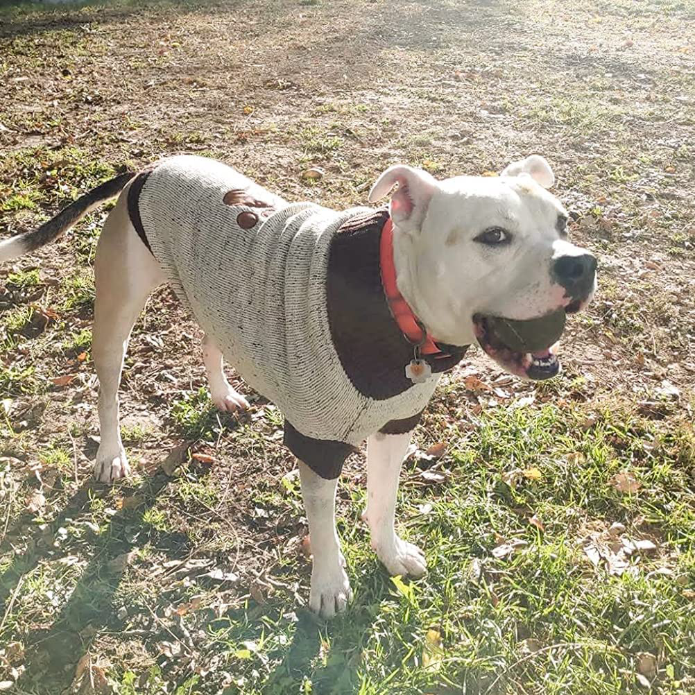 BINGPET Turtleneck Dog Sweater Animals & Pet Supplies > Pet Supplies > Dog Supplies > Dog Apparel BBPET