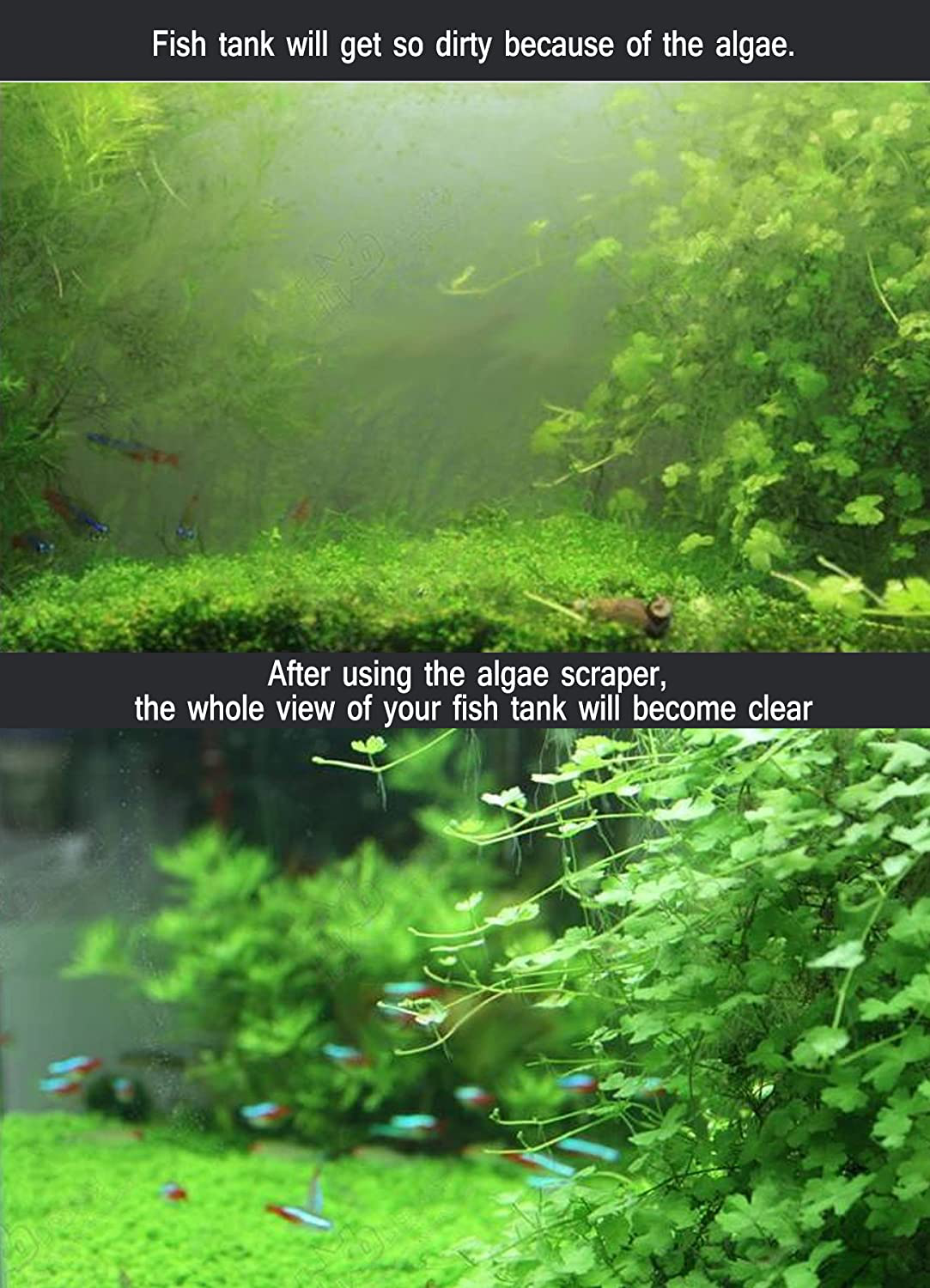 Fish Tank Scraper Stainless Steel 25.6Inch/65Cm, Katfort Aquarium Glass Scraper Algae Razor Cleaner with 10 Blades, Cleaning Tool Kit for Plant Grass Acrylic Animals & Pet Supplies > Pet Supplies > Fish Supplies > Aquarium Cleaning Supplies Kattool