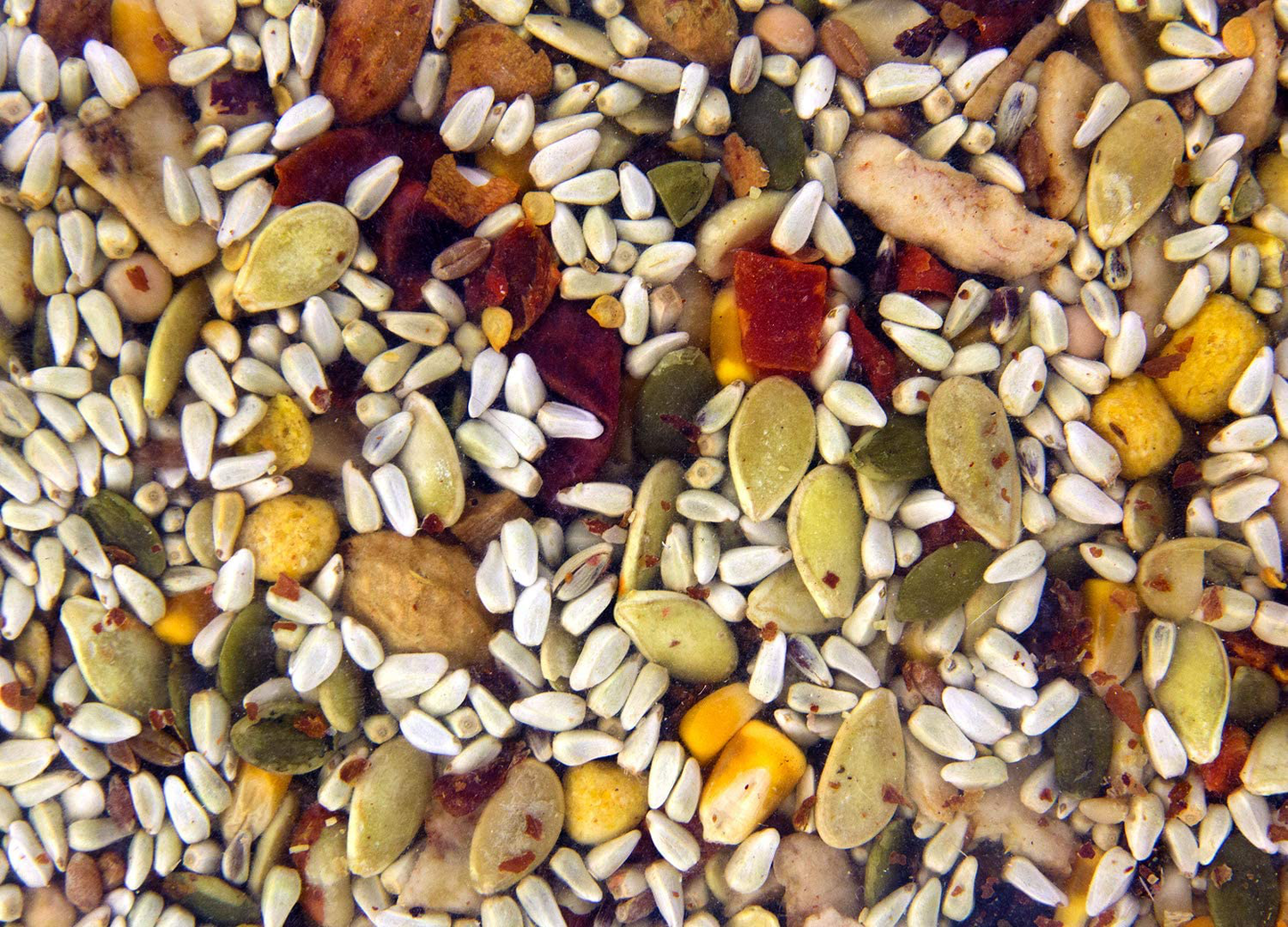 Volkman Seed Featherglow Parrot Treat 4Lb Animals & Pet Supplies > Pet Supplies > Bird Supplies > Bird Treats Volkman Seed Company Inc