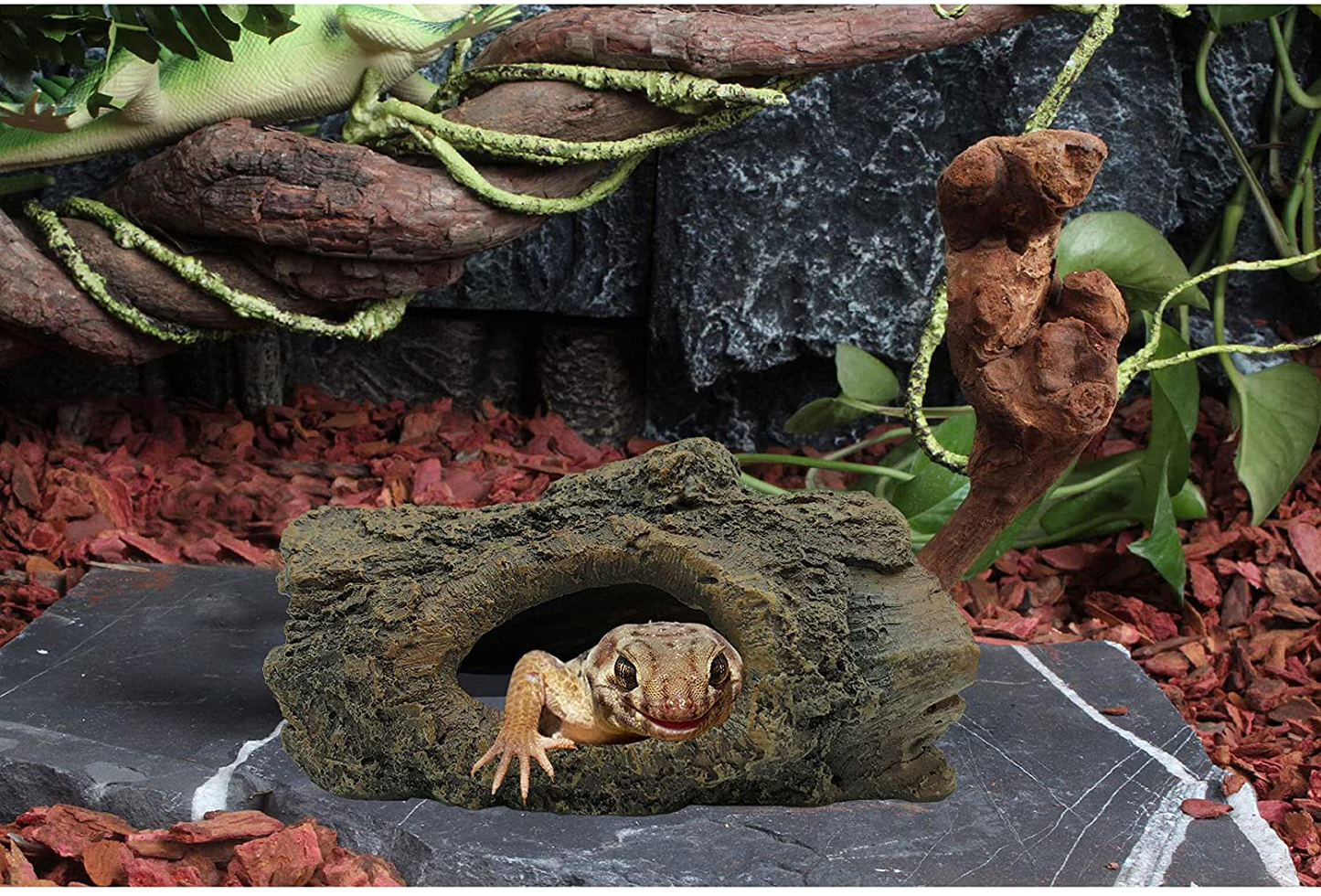 Tfwadmx Bearded Dragon Hideout Reptile Cave Lizard or Ball Pythons Snak Hide Hollow Tree Trunk Gecko Log Habitat Decoration Driftwood Hut Terrarium Accessories for Chameleon Hermit Crabs Spiderling Animals & Pet Supplies > Pet Supplies > Reptile & Amphibian Supplies > Reptile & Amphibian Habitats Tfwadmx