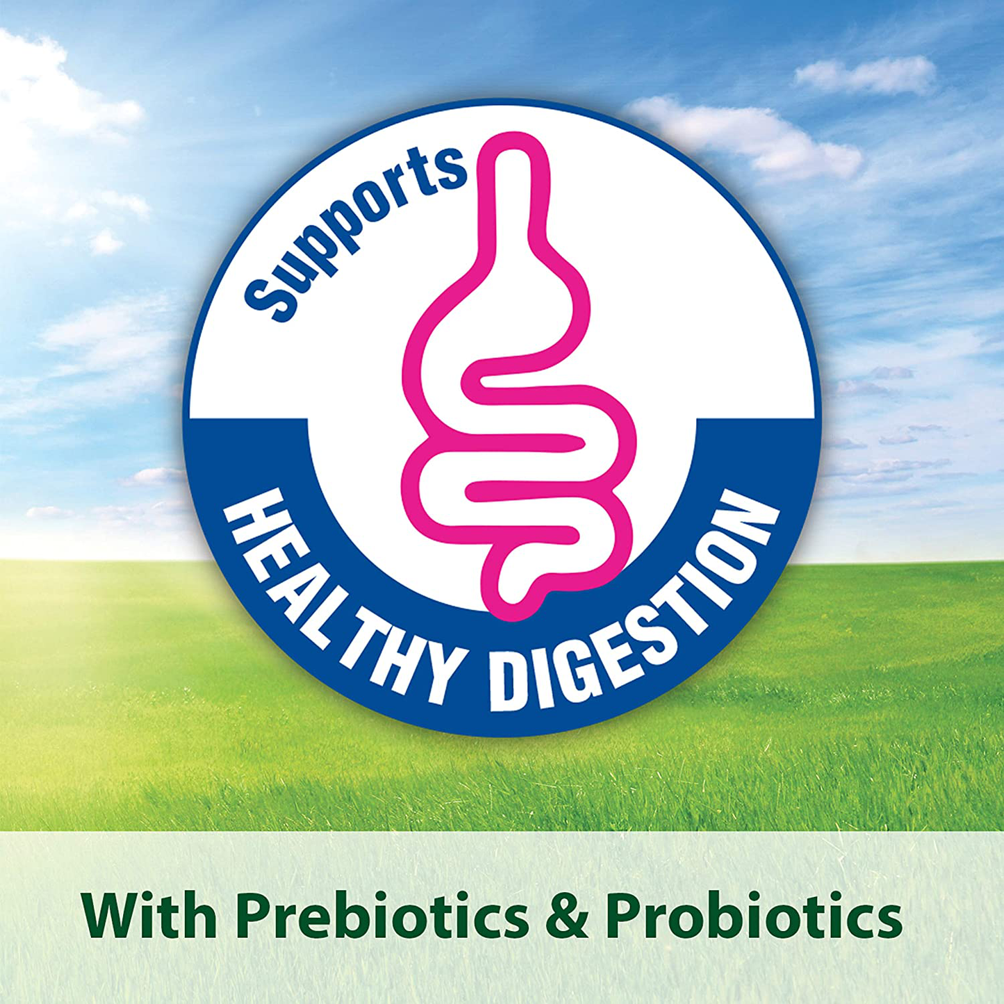 Kaytee Forti-Diet Pro Health Juvenile Rabbit Food 5Lb Animals & Pet Supplies > Pet Supplies > Small Animal Supplies > Small Animal Food Kaytee