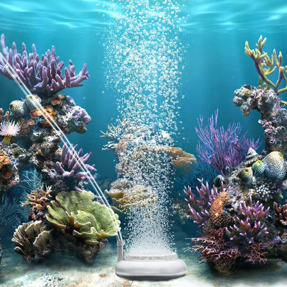 POPETPOP Air Stone Bubble for Aquarium Fish Tank round Oxygen Bubbler Diffuser with Suction Cup (2 Inch) Animals & Pet Supplies > Pet Supplies > Fish Supplies > Aquarium Air Stones & Diffusers POPETPOP