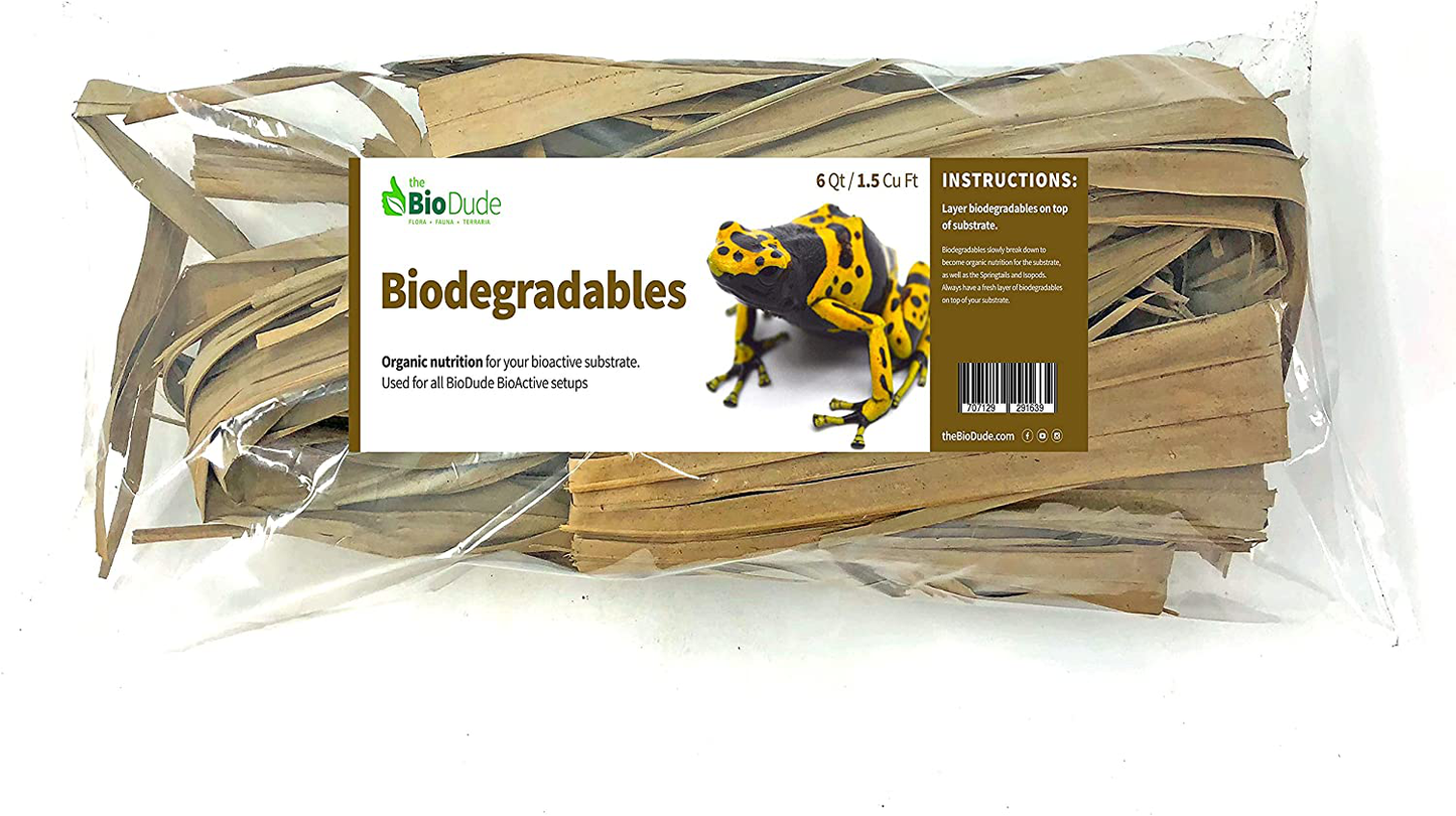 The Bio Dude Southern Palm Fronds/Leaves 6 Qt, for Reptiles, Frogs and Bioactive Terrariums Animals & Pet Supplies > Pet Supplies > Reptile & Amphibian Supplies > Reptile & Amphibian Substrates The Bio Dude
