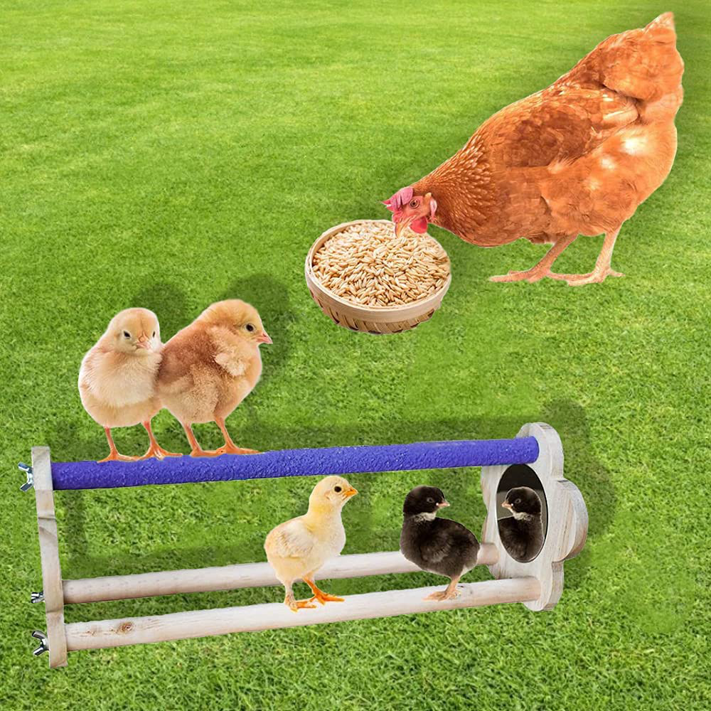 ASOCEA Chicken Wood Perch Stand with Mirror Chick Perch Strong Wooden Jungle Gym Coop Roosting Bar Training Toy Coop Supplies for Chickens Hens Baby Chicks Large Birds Animals & Pet Supplies > Pet Supplies > Bird Supplies > Bird Ladders & Perches ASOCEA