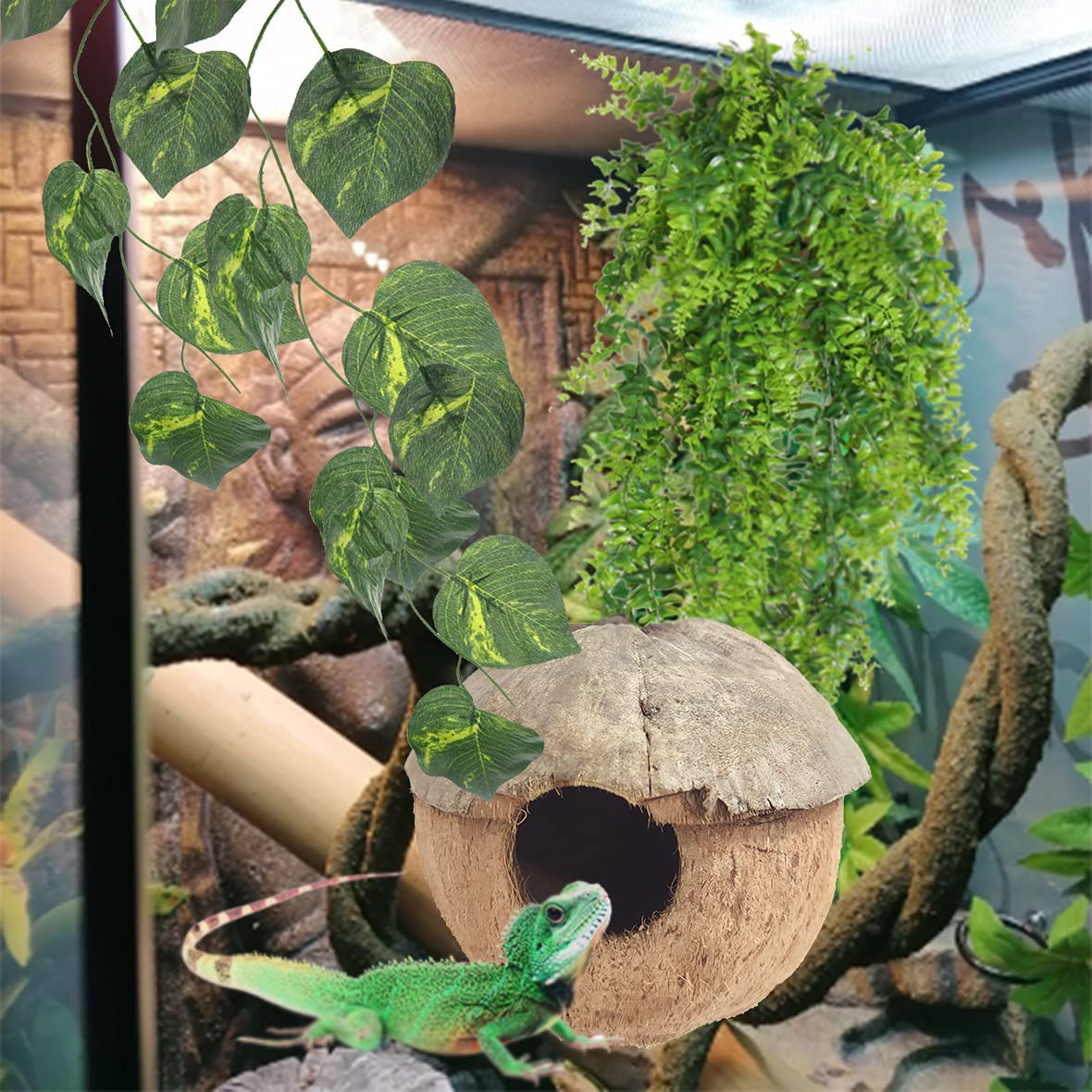 PINVNBY Reptile Coconut Hideout Lizard Coconut Hut Reptile Habitat Decoration with Artificial Bendable Vines Green Plants and Leaves Gecko Tank Accessories for Chameleon Bearded Dragons Snakes Animals & Pet Supplies > Pet Supplies > Reptile & Amphibian Supplies > Reptile & Amphibian Habitats PINVNBY