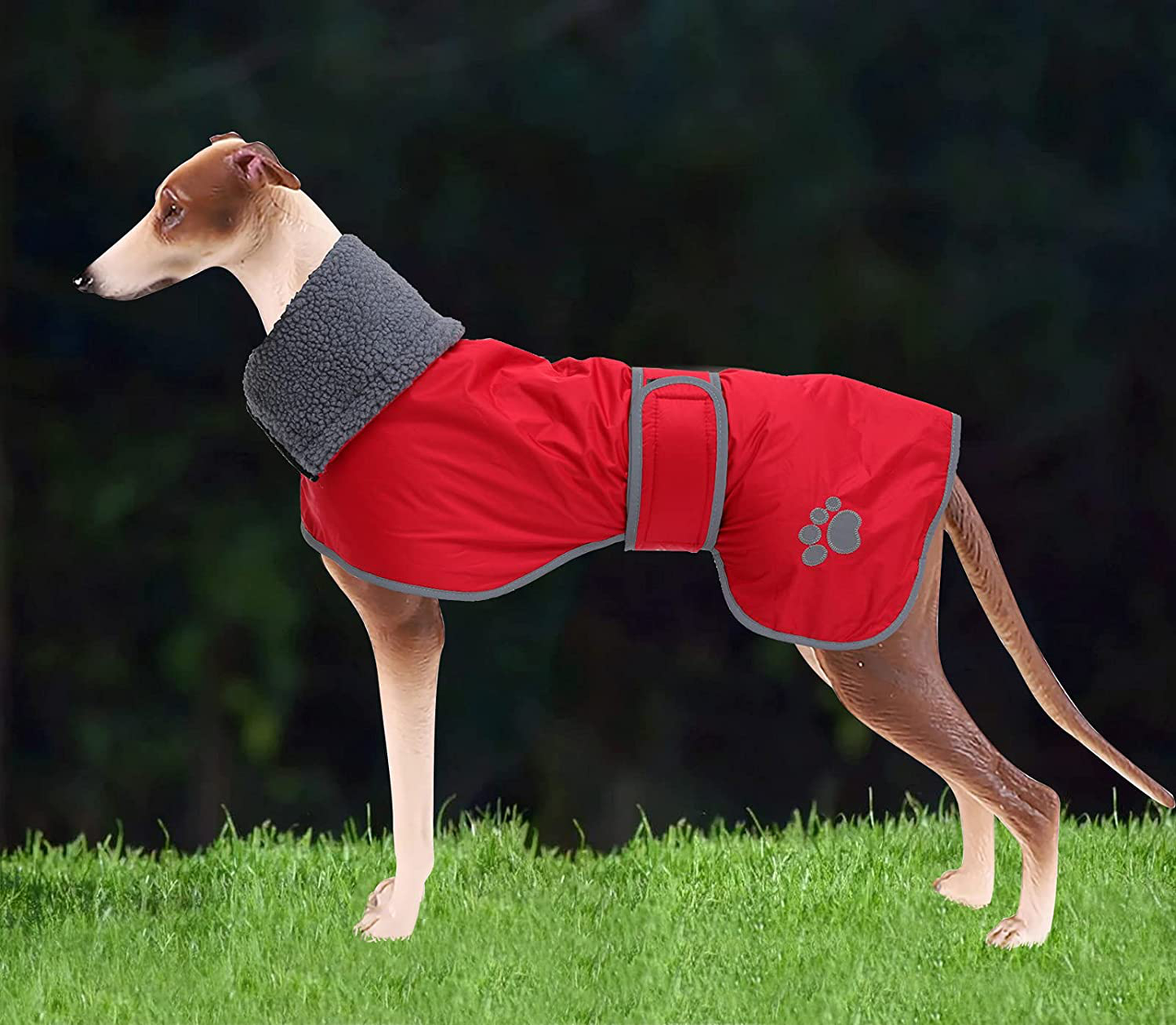 Geyecete Dog Winter Coat Greyhound Raincoat Fabric with Lamb Velvet inside Outdoor Dog Apparel with Adjustable Bands for Medium, Large Dog Animals & Pet Supplies > Pet Supplies > Dog Supplies > Dog Apparel Geyecete