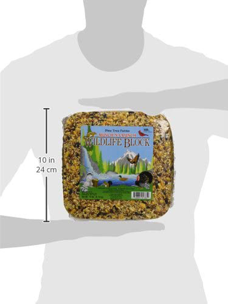 Pine Tree Farms 1385 Wildlife Block, 15 Pounds,Multicolored Animals & Pet Supplies > Pet Supplies > Bird Supplies > Bird Treats Pine Tree Farms