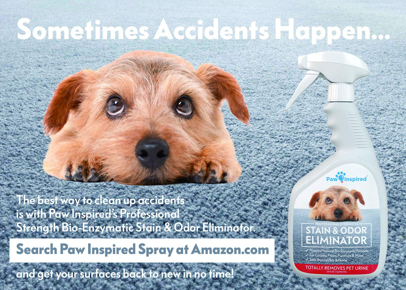 Paw Inspired Disposable Dog Diapers | Female Dog Diapers Ultra Protection | Disposable Puppy Diapers Female | Diapers for Dogs in Heat, Period, Excitable Urination, or Incontinence (12 Count, X-Small) Animals & Pet Supplies > Pet Supplies > Dog Supplies > Dog Diaper Pads & Liners PAW INSPIRED