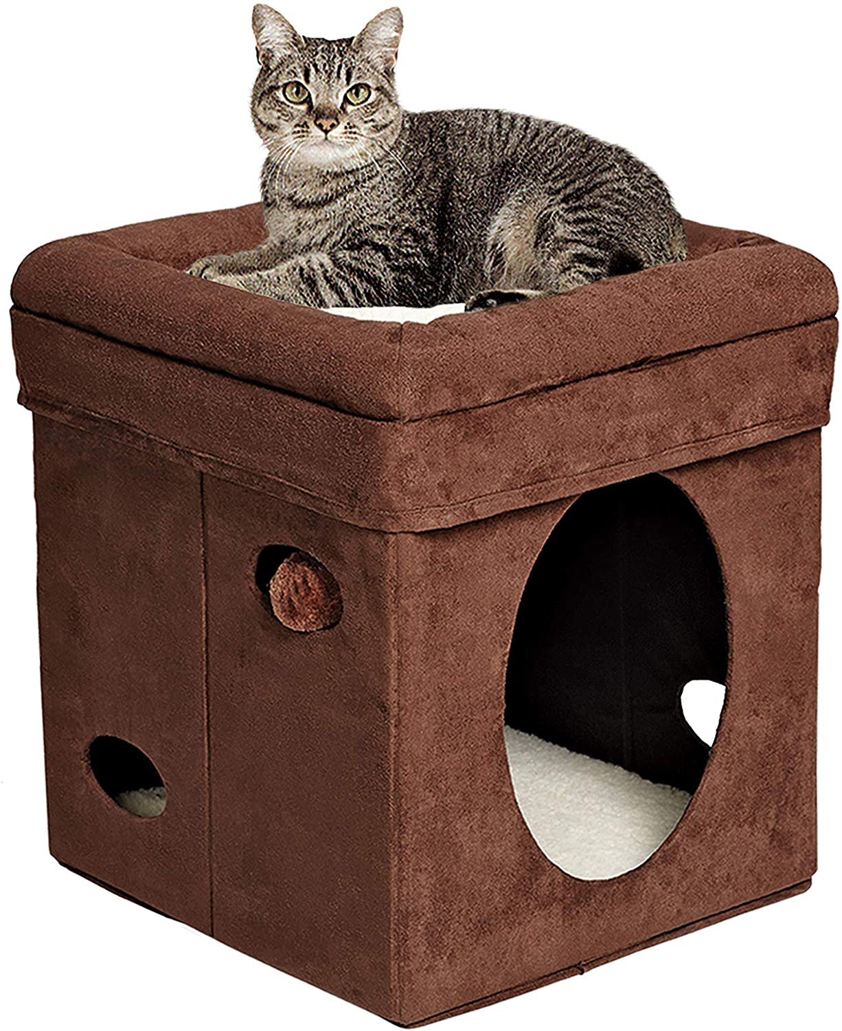 Midwest Curious Cat Cube, Cat House / Cat Condo Animals & Pet Supplies > Pet Supplies > Cat Supplies > Cat Beds MidWest Homes for Pets Brown Single Story