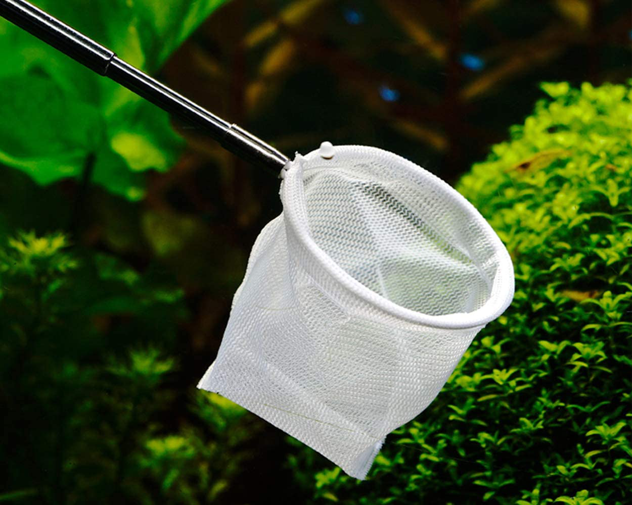 DS. DISTINCTIVE STYLE Shrimp Net 2 Inch Small Aquarium Fish Net with Extendable Handle for Fish Tank Animals & Pet Supplies > Pet Supplies > Fish Supplies > Aquarium Fish Nets DS. DISTINCTIVE STYLE