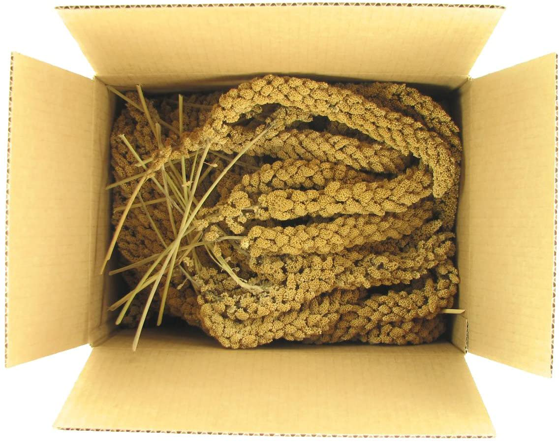 SLEEK & SASSY NUTRITIONAL DIET Golden Farms Premium Millet Spray for Birds (2 Lbs.) Animals & Pet Supplies > Pet Supplies > Bird Supplies > Bird Treats Packaged by Wildwood Seed & Specialties