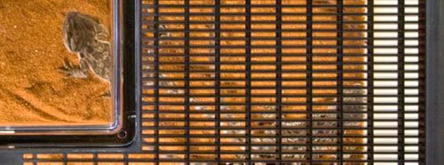 Exo Terra Faunarium, Plastic Reptile Terrarium, Mini Animals & Pet Supplies > Pet Supplies > Reptile & Amphibian Supplies > Reptile & Amphibian Habitats Exo Terra