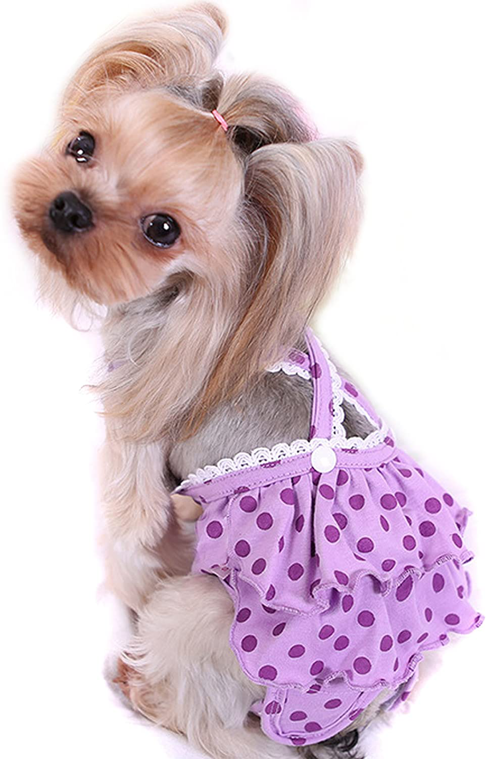 Alfie Pet - Frona Diaper Dog Sanitary Pantie with Suspender for Girl Dogs Animals & Pet Supplies > Pet Supplies > Dog Supplies > Dog Diaper Pads & Liners Alfie Purple Large (Pack of 1)