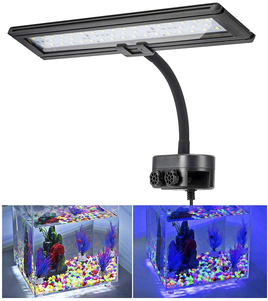 Hygger 9.7 Inches Blue White LED Aquarium Light Clip on Small Led Light for Planted Saltwater Freshwater Fish Tank with Gooseneck Clamp 13W Animals & Pet Supplies > Pet Supplies > Fish Supplies > Aquarium Lighting hygger 45 Leds, 21 watt
