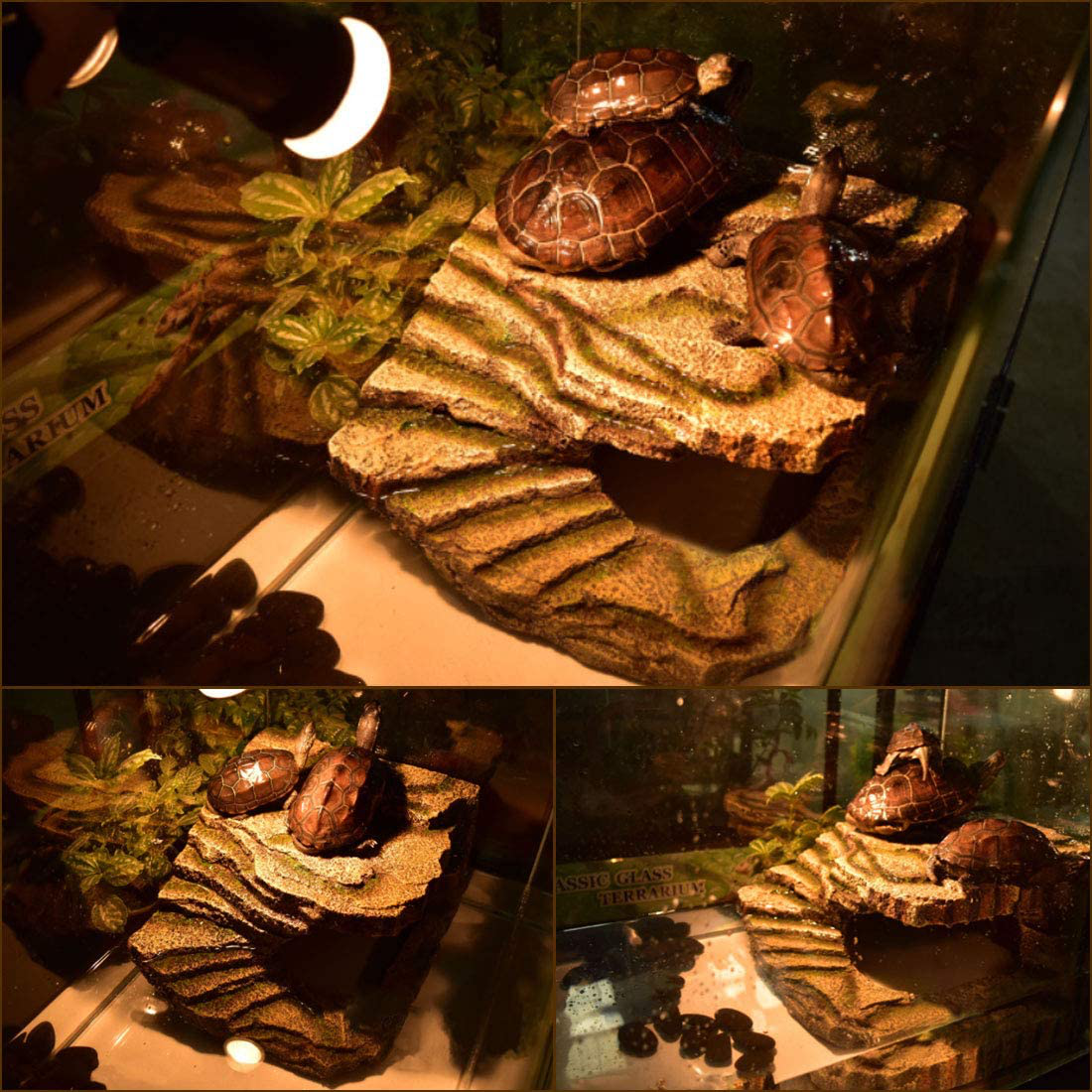 Kathson Turtle Basking Platform Frogs Habitat Hiding Cave Resin Fish Tank Aquarium Ornament Reptile Climbing Ramp Decorations for Salamanders Amphibians Newts Resting Animals & Pet Supplies > Pet Supplies > Reptile & Amphibian Supplies > Reptile & Amphibian Habitats kathson