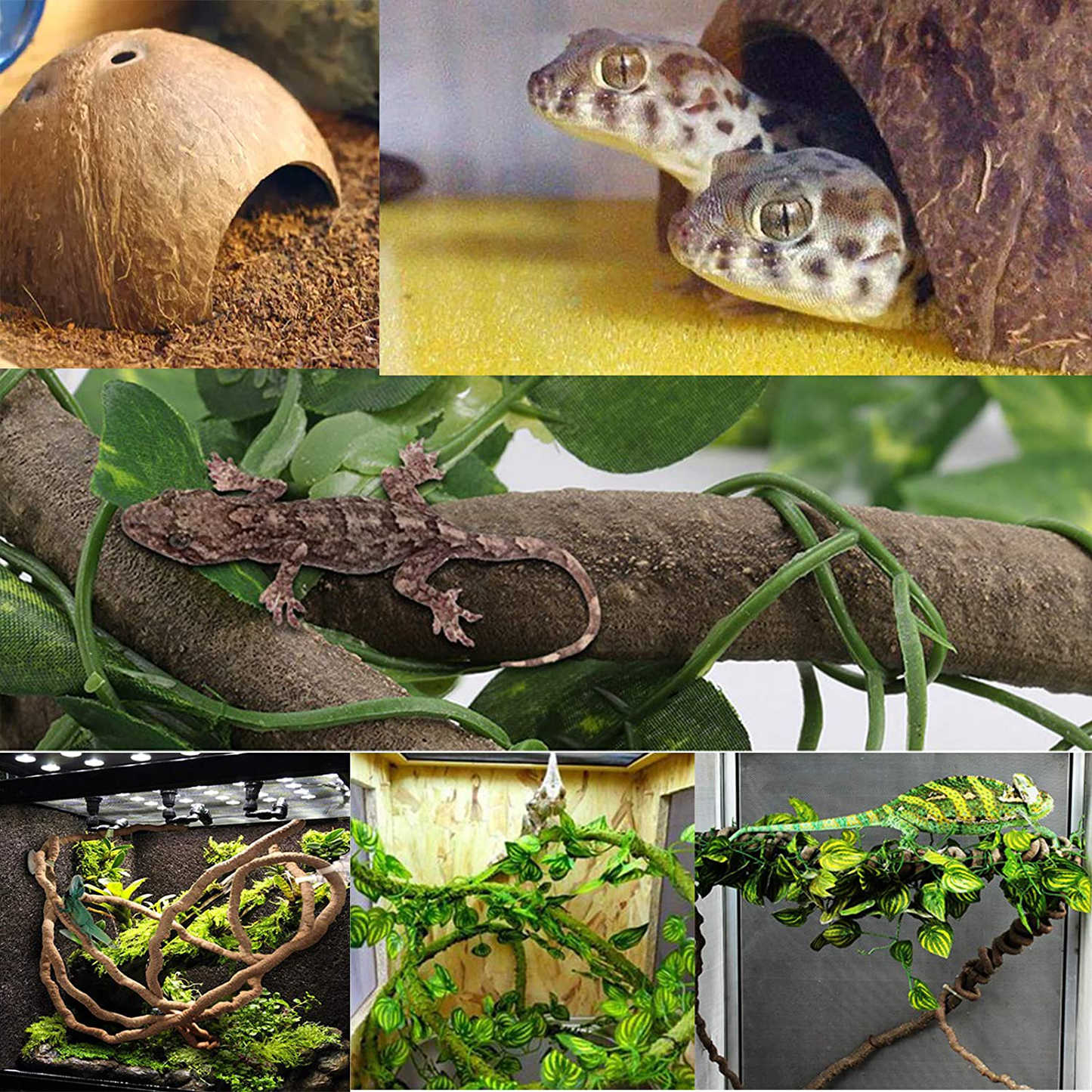 Kathson Leopard Gecko Tank Accessories Reptile Habitat Decor Reptiles Hanging Plants Artificial Bendable Climbing Vines and Hidden Coconut Shell Hole for Chameleon, Lizards, Gecko, Snakes Animals & Pet Supplies > Pet Supplies > Reptile & Amphibian Supplies > Reptile & Amphibian Habitat Accessories kathson