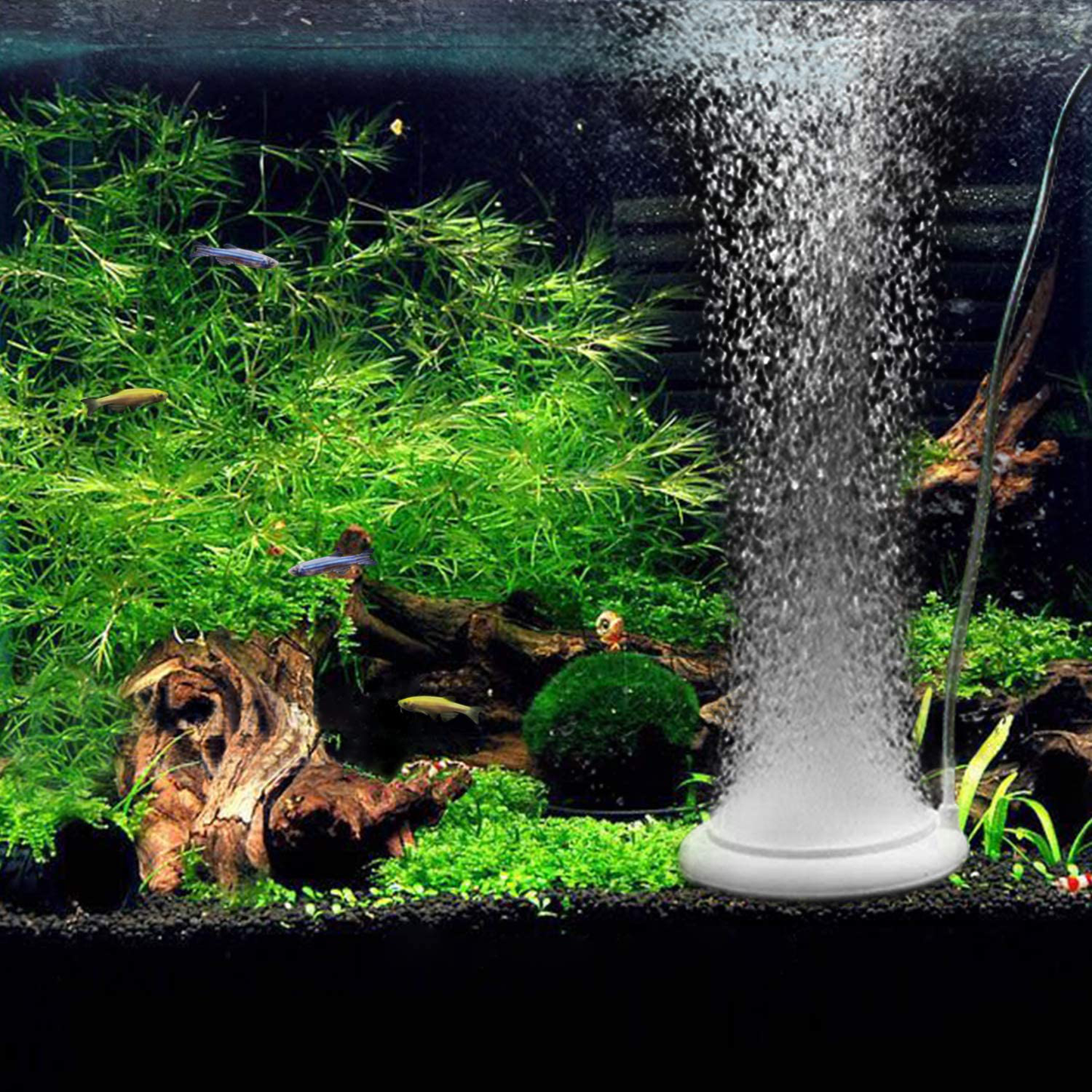 NEPTONION Air Stone Disc Aquarium Fish Tank Bubbler with Control Valve Oxygen Diffuser for Hydroponics (Air Pump and Pipe Not Included) Animals & Pet Supplies > Pet Supplies > Fish Supplies > Aquarium Air Stones & Diffusers NEPTONION