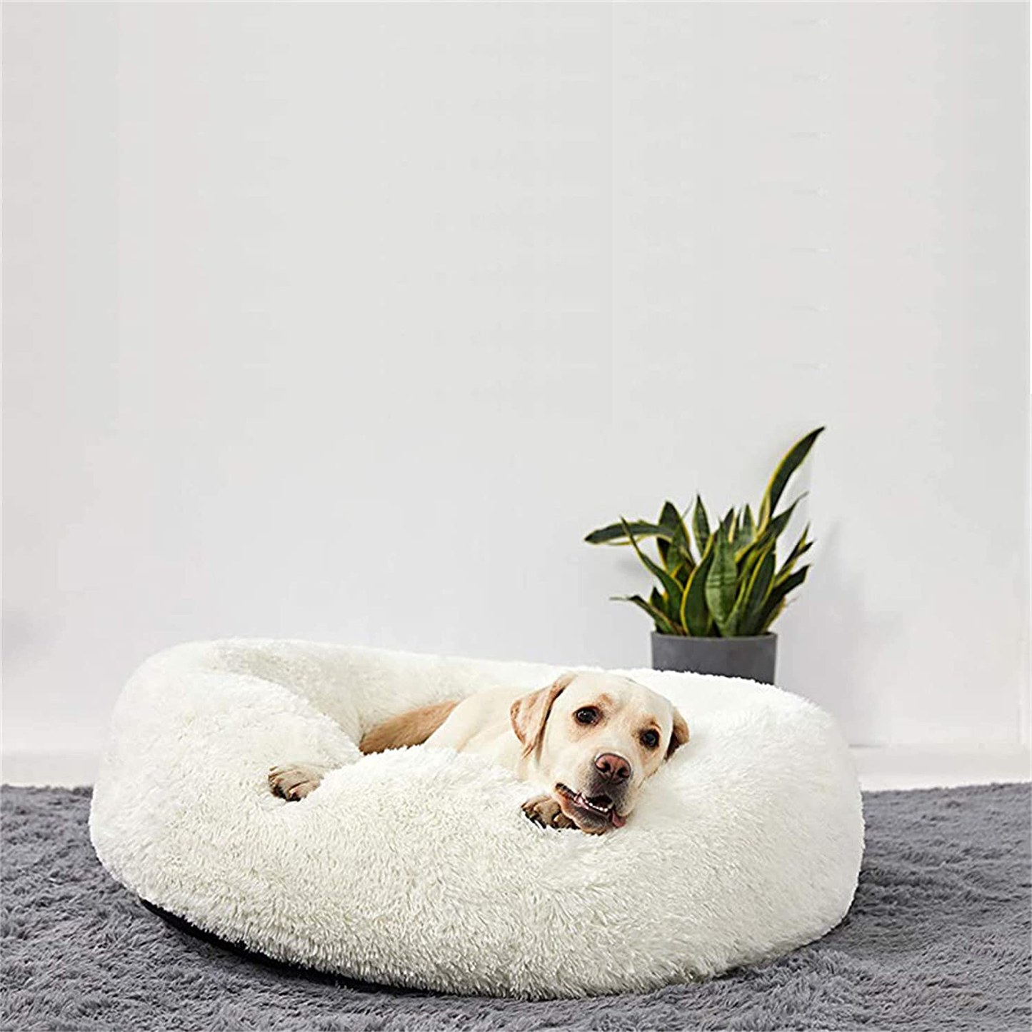 Gavenia Cat Beds for Indoor Cats Washable Donut Cat and Dog Bed,Soft Plush Pet Cushion,Waterproof Bottom Fluffy Dog and Cat Calming and Self Warming Bed for Sleep Improvement Animals & Pet Supplies > Pet Supplies > Cat Supplies > Cat Beds Tai zhou bai qi jin chu kou you xian gong si