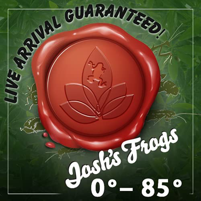 Josh'S Frogs Wingless Drosophila Melanogaster Fruit Fly Cultures Animals & Pet Supplies > Pet Supplies > Reptile & Amphibian Supplies > Reptile & Amphibian Food Josh's Frogs