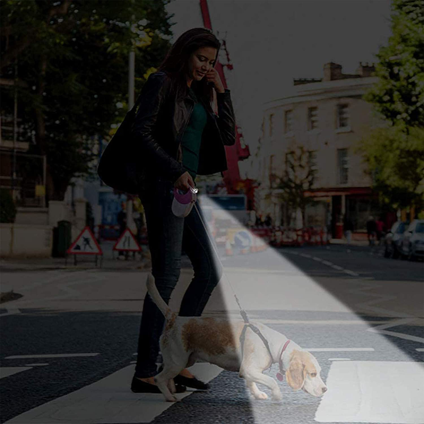 Cat Toys for Indoor Pets,Pet Pointer Toys Cat Wand Chasing Toys, Pet Toys for Indoor Kitten Play Chase Exercise Animals & Pet Supplies > Pet Supplies > Cat Supplies > Cat Toys EverWin