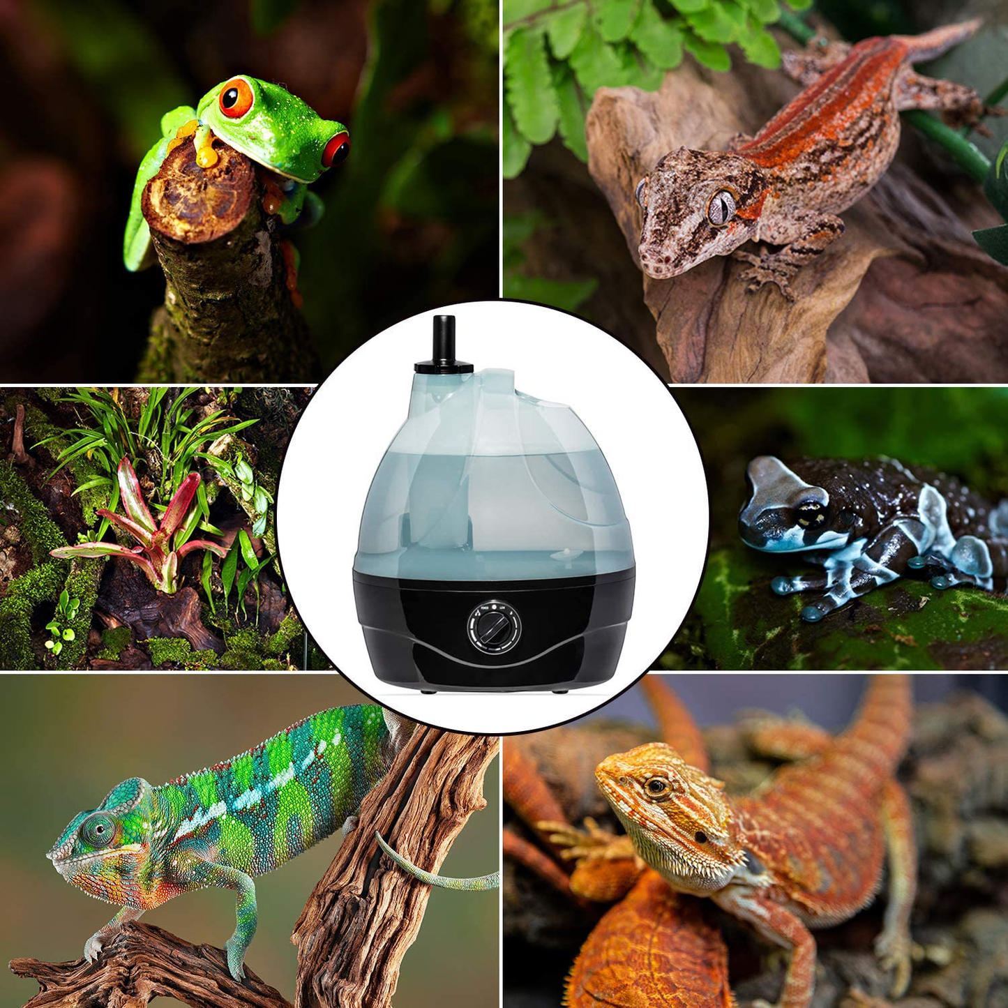 Reptile Humidifier / Fogger - Large Tank - Ideal for a Variety of Reptiles / Amphibians / Herps - Compatible with All Terrariums and Enclosures - by Evergreen Pet Supplies Animals & Pet Supplies > Pet Supplies > Reptile & Amphibian Supplies > Reptile & Amphibian Substrates Evergreen Pet Supplies
