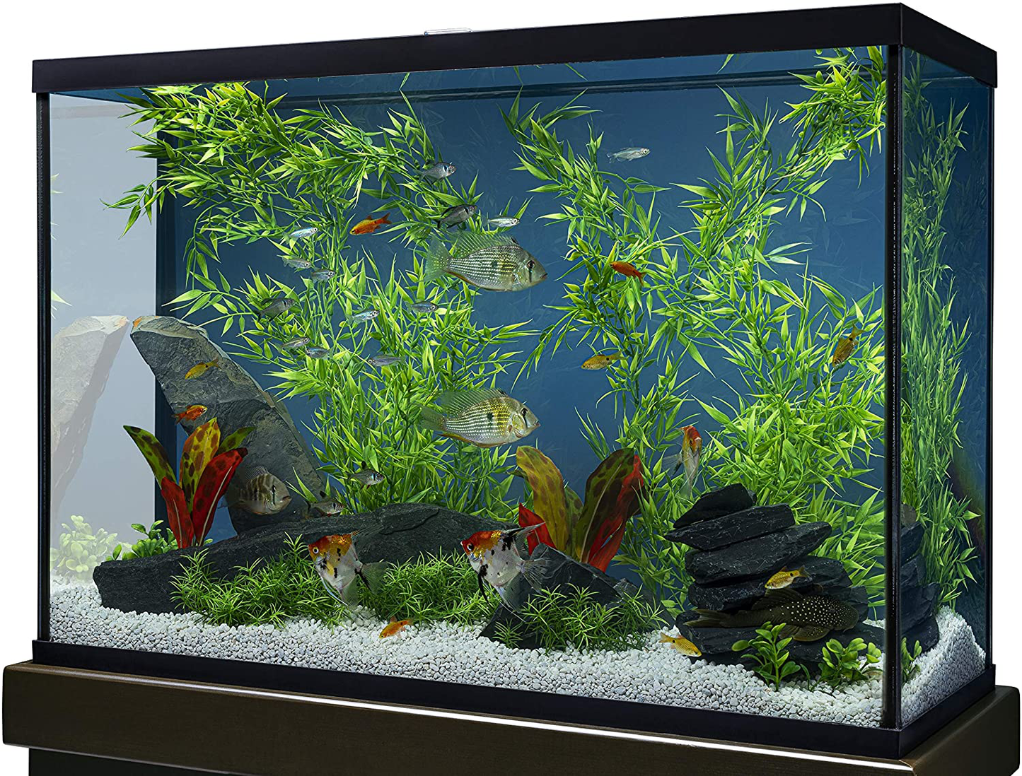 Bamboo 3 Feet, Décor for Aquariums and Terrariums, Model Animals & Pet Supplies > Pet Supplies > Fish Supplies > Aquarium Decor MarineLand