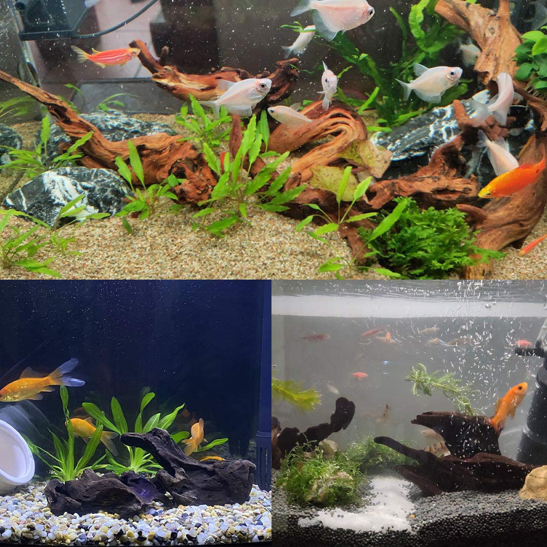 SERJOOC 6Pcs Natural Aquarium Driftwood Branches Wood Decor Fish Tank Ornament Trunk Decoration (4In-6In) Animals & Pet Supplies > Pet Supplies > Fish Supplies > Aquarium Decor SERJOOC