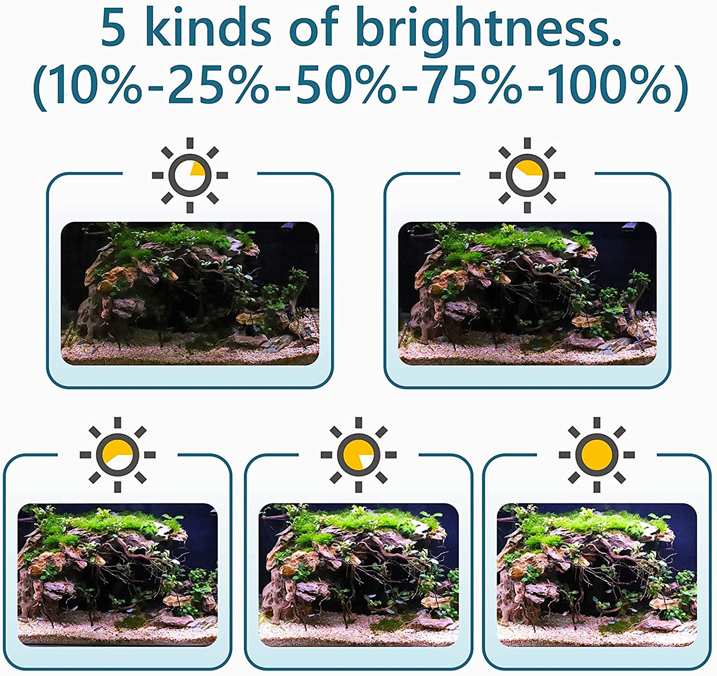 Hygger Clip on 24/7 Lighting Aquarium LED Light, 14W Sunrise-Daylight-Moonlight Mode and DIY Mode, Adjustable Timer Adjustable Brightness Fish Tank Light with 7 Colors for Planted Tank Animals & Pet Supplies > Pet Supplies > Fish Supplies > Aquarium Lighting hygger
