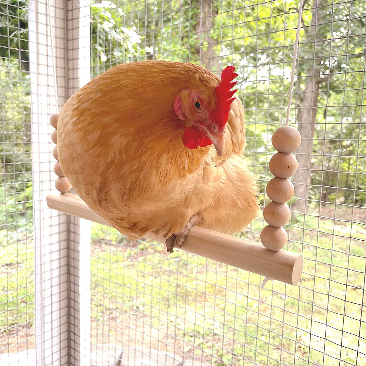 Backyard Barnyard Chicken Swing Toy for Coop (Round Bar) Handmade in USA! Natural Safe Large Wood Perch Ladder for Poultry Run Rooster Hens Chicks Pet Parrots Pollo Stress Relief for Birds Animals & Pet Supplies > Pet Supplies > Bird Supplies > Bird Ladders & Perches Backyard Barnyard