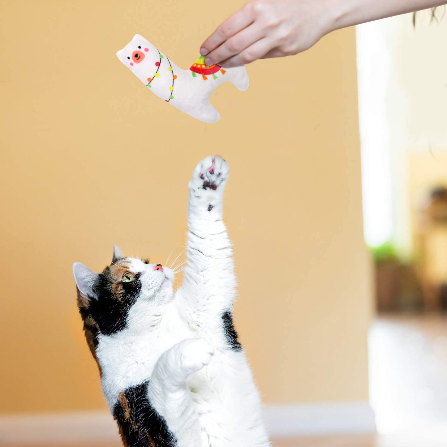 Ciyvolyeen 5Pcs Llama Catnip Cat Toys Cactus Cat Chew Interactive Toy for Cat Lover Gift Indoor Cat Kitty Bite Toys Supplies Llama Gifts Animals & Pet Supplies > Pet Supplies > Cat Supplies > Cat Toys CiyvoLyeen