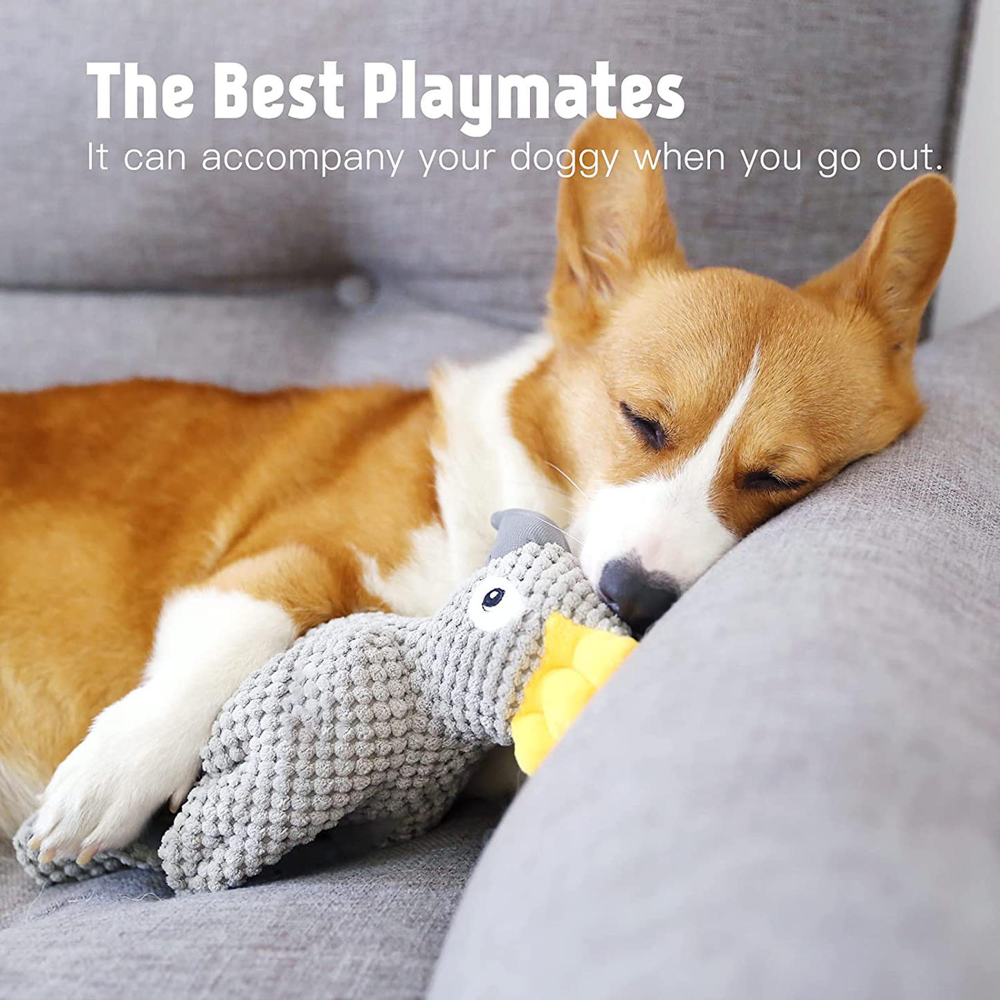 Dog Toys for Small Dog, Plush Interactive Dog Squeak Toy for Puppies, Durable Dog Chew Toy with Stuffed and Crinkle Paper to Clean Teeth for Medium Dogs Animals & Pet Supplies > Pet Supplies > Dog Supplies > Dog Toys Pefent