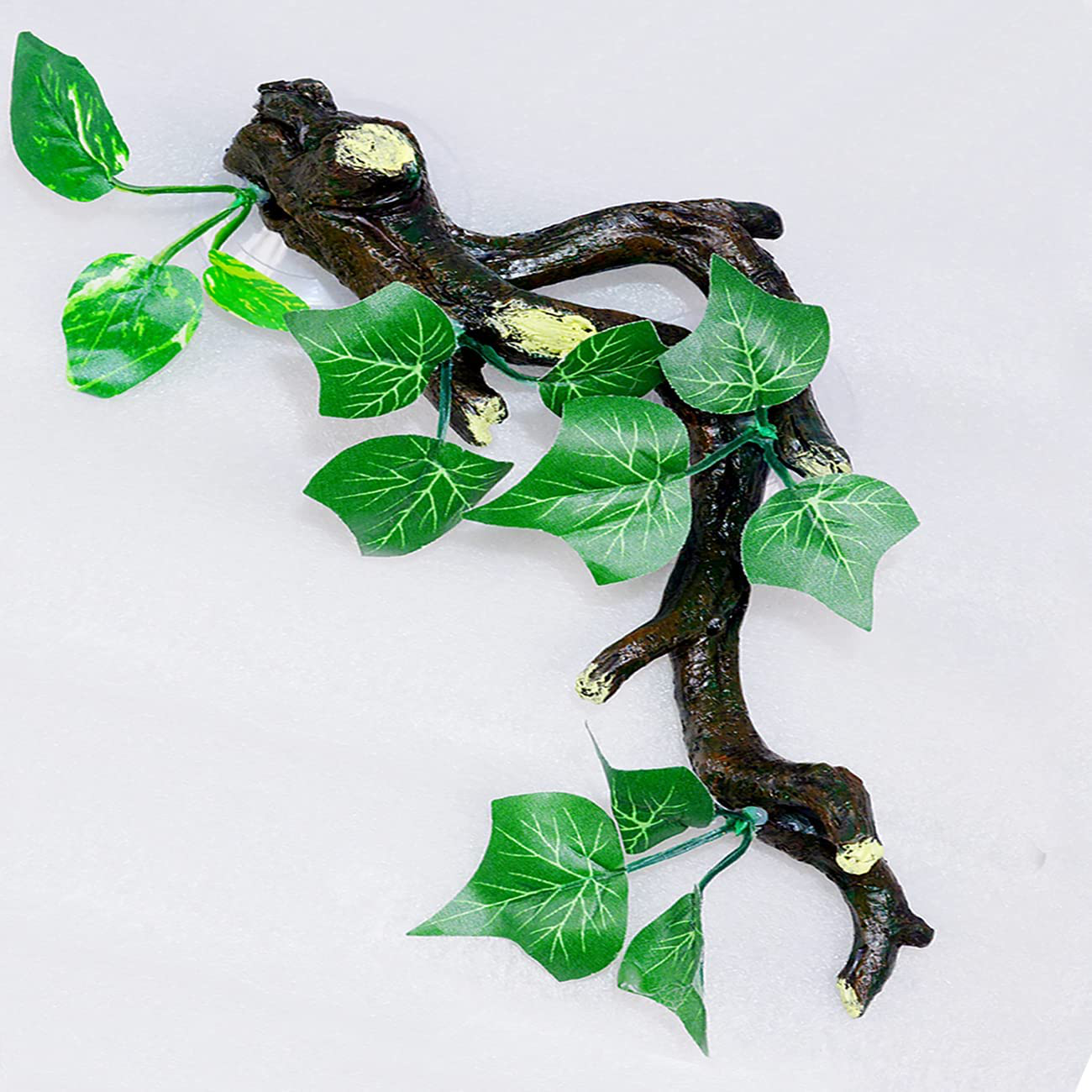 Reptile 2024 cage accessories