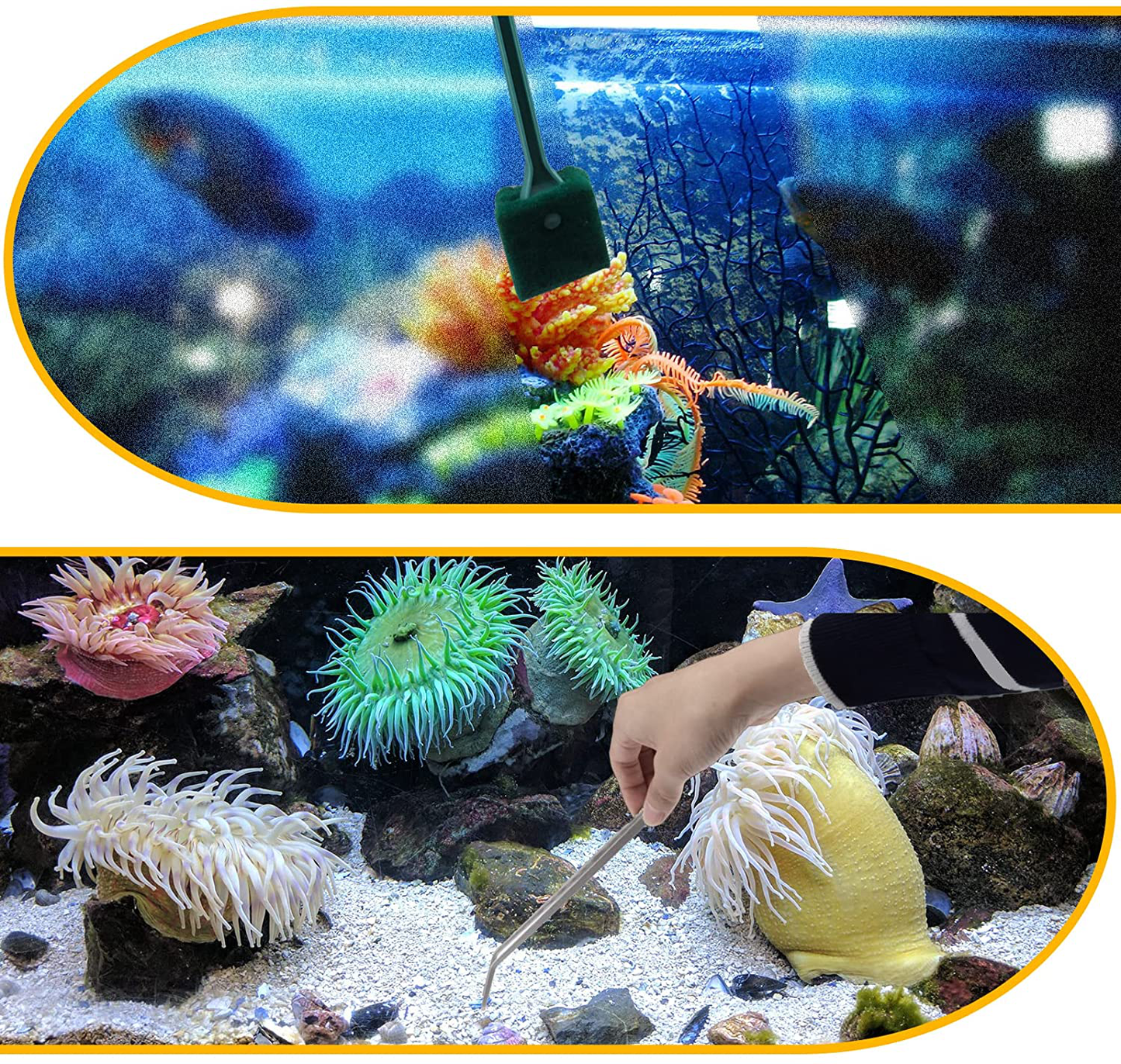 Pietypet Fish Tank Cleaning Tools, 8 in 1 Aquarium Feeder Tools Kit, Aquarium Plants Cleaner, Stainless Steel Feeding Animals & Pet Supplies > Pet Supplies > Fish Supplies > Aquarium Cleaning Supplies PietyPet