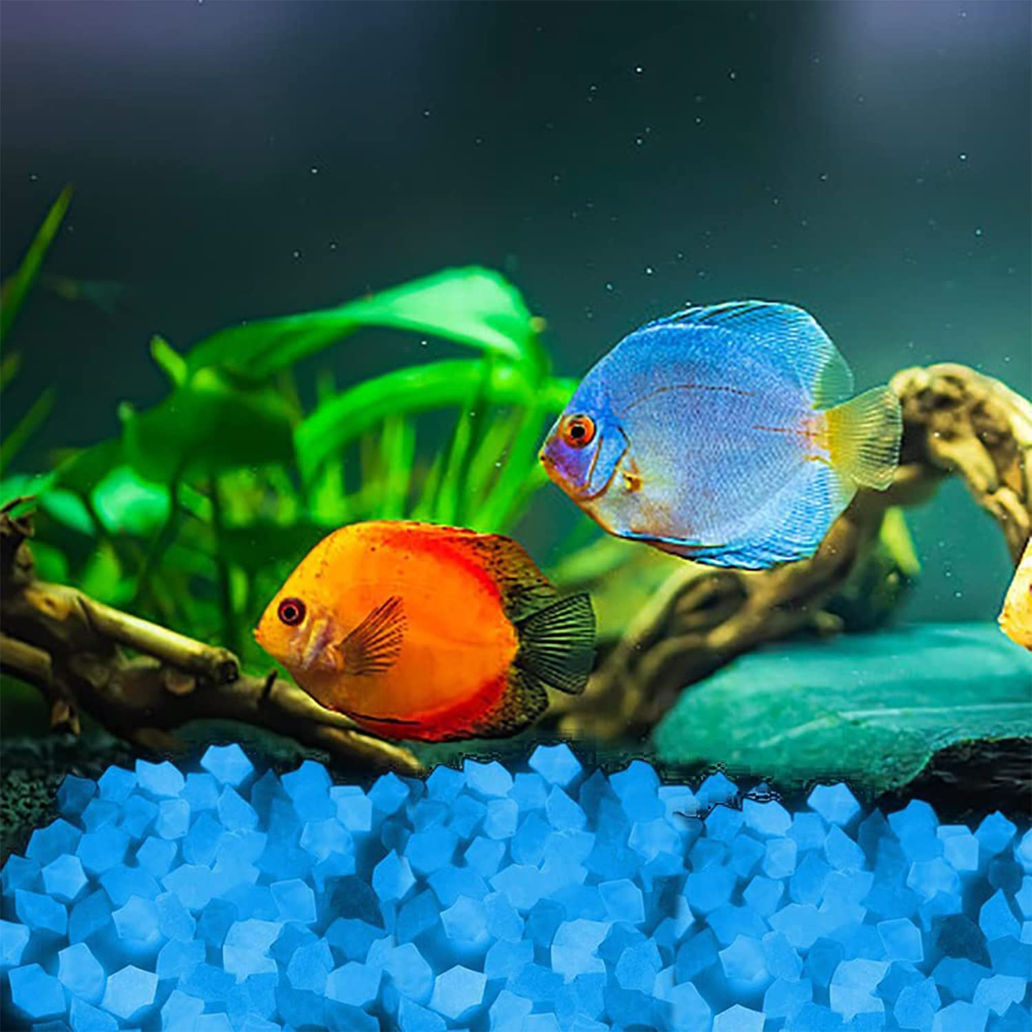 Ballhull 1.4Cm Decoration Fish Tank Gravel, Rocks Glowing in the Dark for Fish Turtle Tanks, Gardens, Flower Pots, 300 Pcs. Animals & Pet Supplies > Pet Supplies > Fish Supplies > Aquarium Decor BallHull