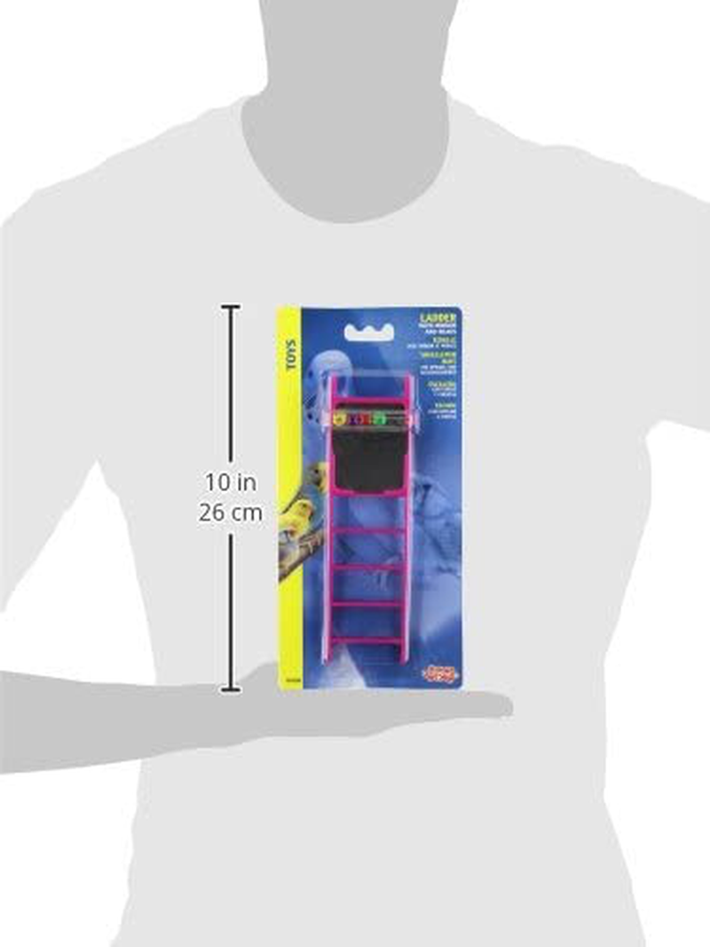 Living World Plastic Small Bird Ladder with Mirror and Bead Animals & Pet Supplies > Pet Supplies > Bird Supplies > Bird Ladders & Perches Living World